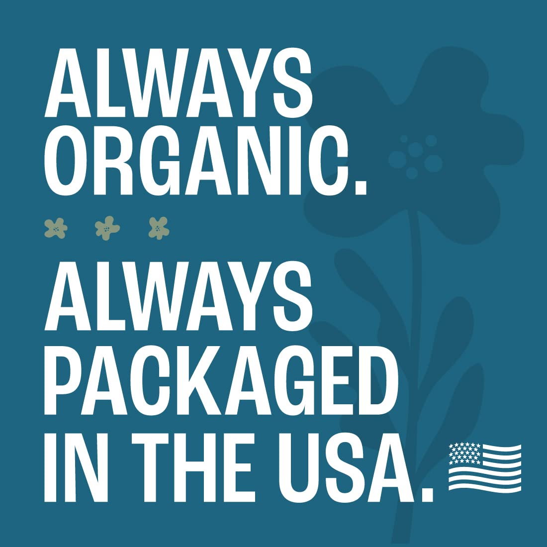 J Mac Botanicals Organic Mullein Leaves (16 oz) Certified USDA Organic. Loose Leaf Mullein Herbal Tea