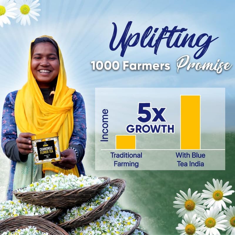 BLUE TEA - Flower Tea Combo - 4.93 Oz (Pack of 5) | Safflower, Hibiscus, Butterfly Pea, Lotus, Globe Amaranth | VARIETY PACK | Caffeine Free - Non-Bitter - Herbal Tea - Flower Based - Vegan | Pet Jar Pack