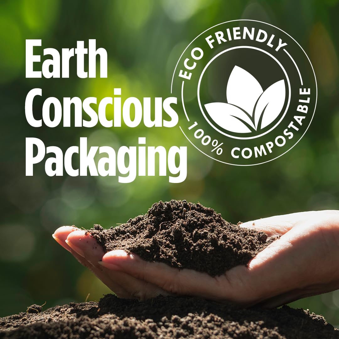 VitaCup Mushroom Coffee Alternative Instant Drink Mix | Mushroom Based Coffee Substitute for Natural Energy & Focus | Lion’s Mane, Yerba Mate, & Chaga | Cacao, Cinnamon, & B Vitamins | 30 Servings