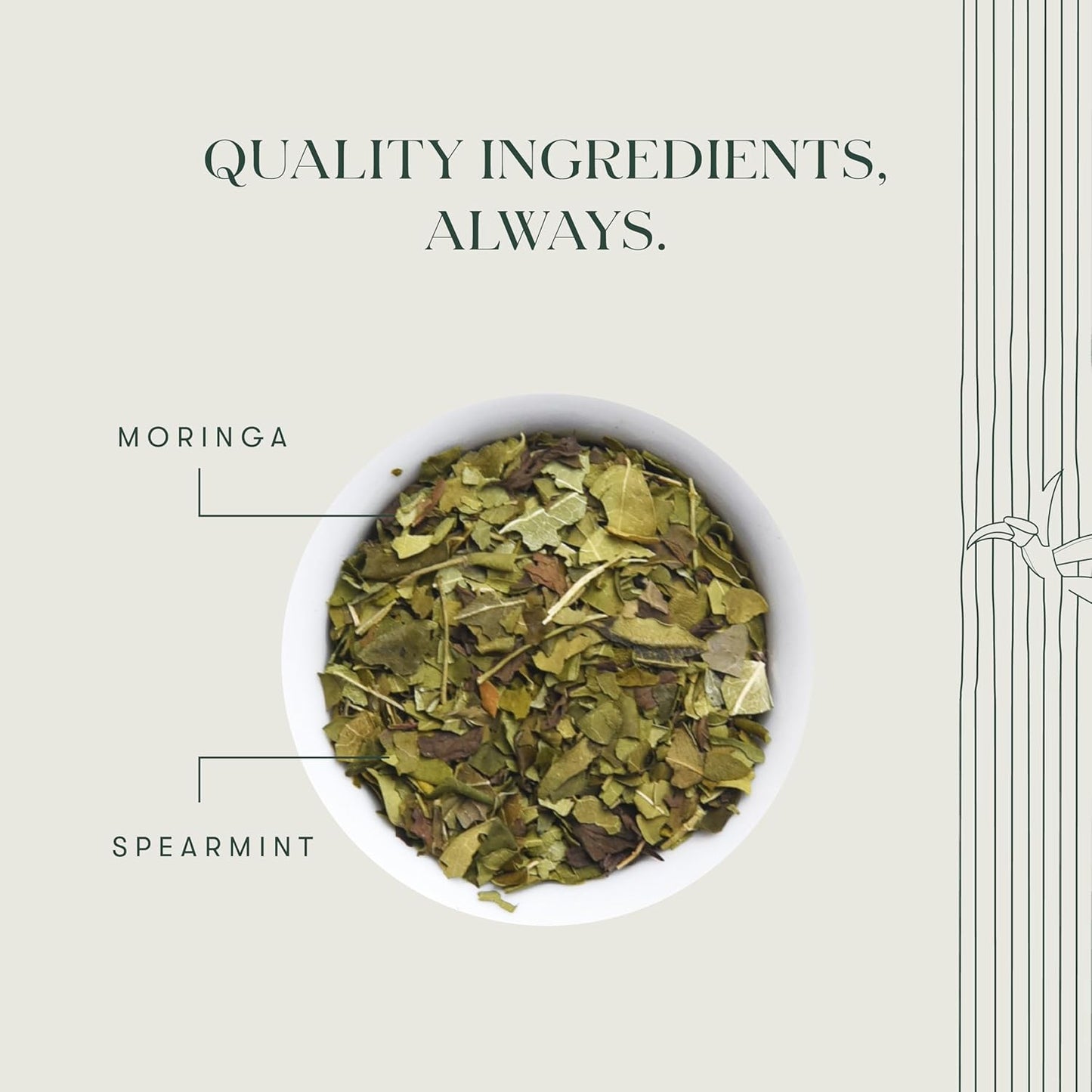 Luxmi Estates - Moringa Mint Tea Loose Leaf - 50g (25 cups) | Organic Moringa and Mint | Great for Digestion and Detox