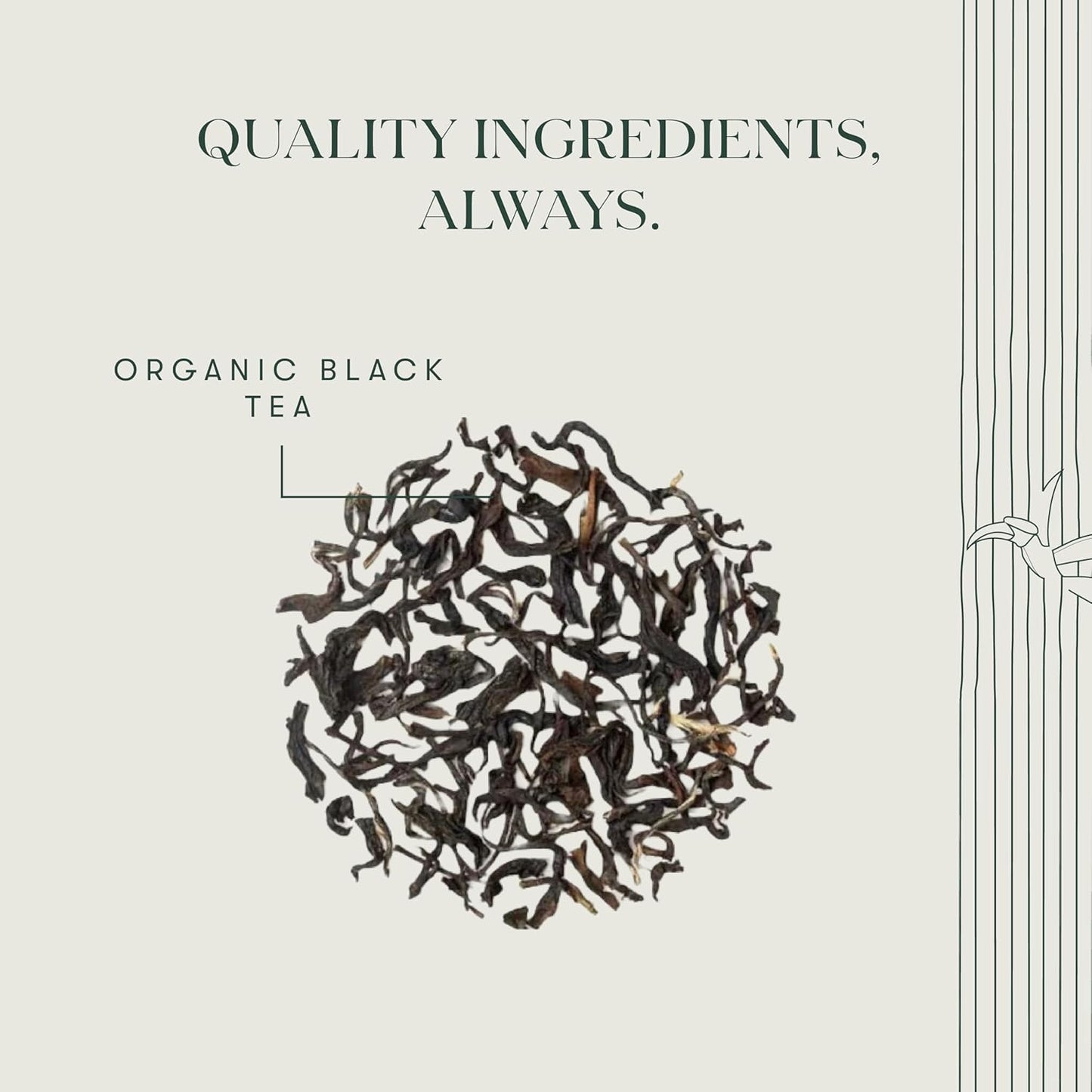 Luxmi Estates Queens Black Tea Blend 25 Tea Bags (50gm) Pack | Organic Black Tea | 50 Cups