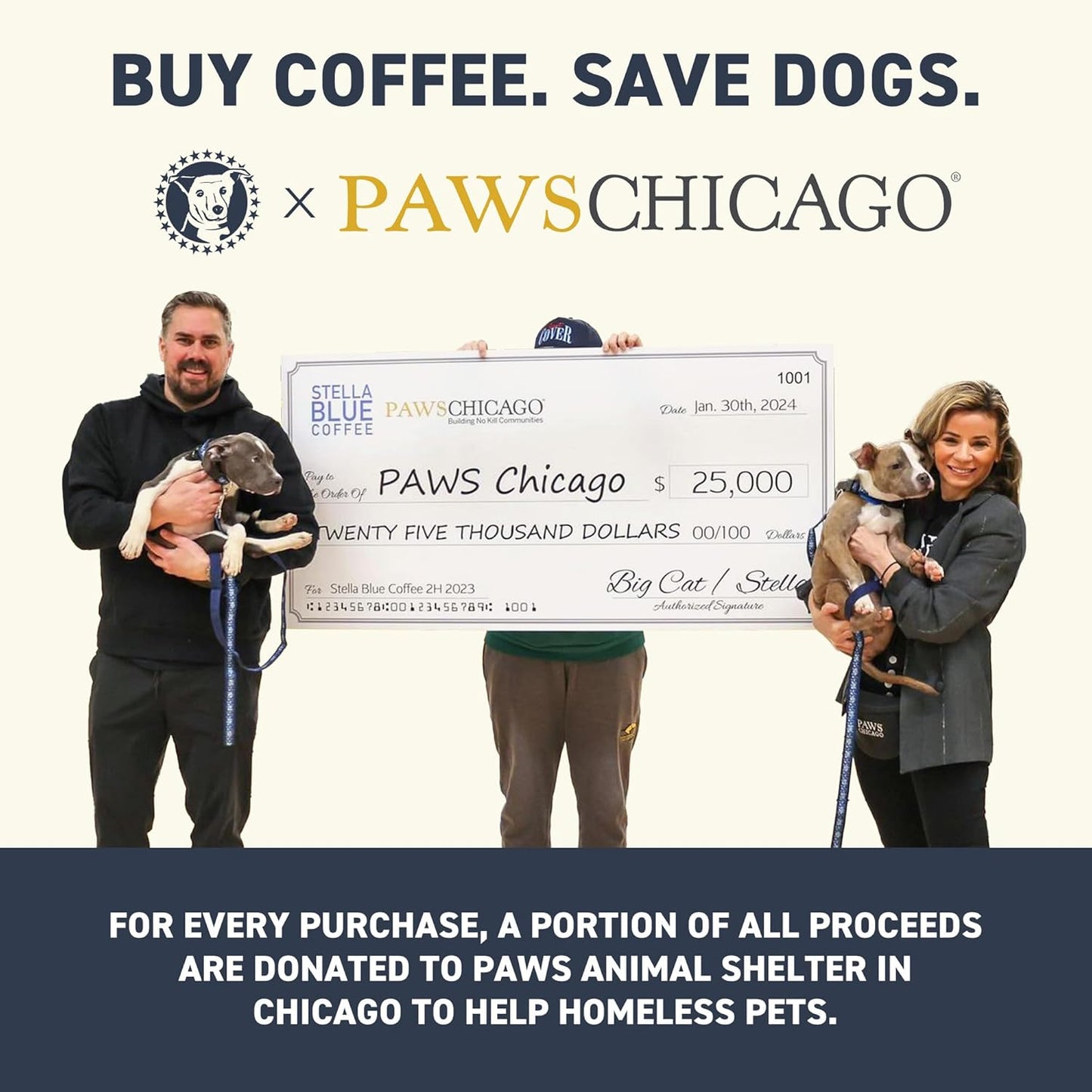 STELLA BLUE Fresh Cold Brew Coffee | Cinnamon Sugar Donut | 100% Arabica Medium Roast | Warm Cinnamon and Sweet Pastry Flavor | Cold Brew Coffee Packets | Makes 24 Pods | 6 Easy-Brew Pouches