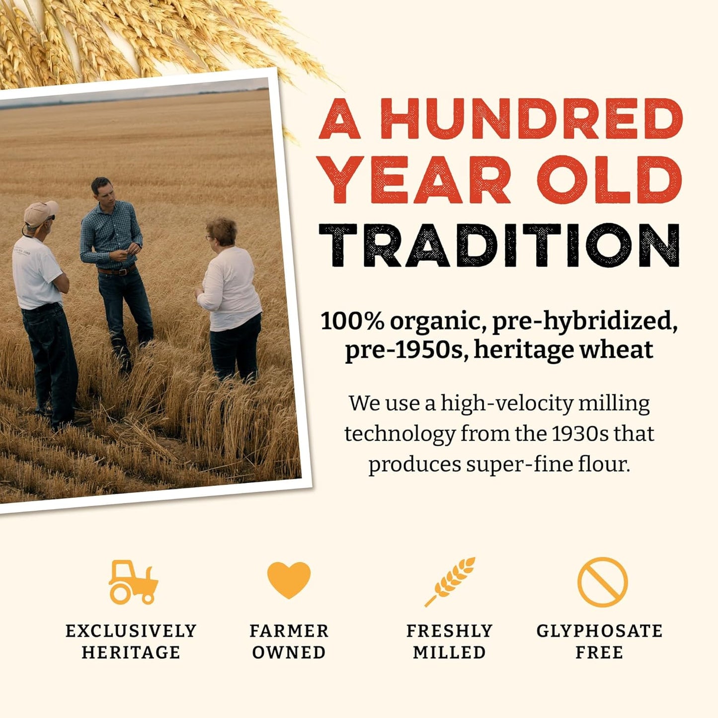 Sunrise Flour Mill Heritage Organic Bread Flour Blend - 5 lbs | Organic Unbleached Bread Flour Easy to Digest with Less Bloating | High Protein, Superior Baking | Smooth, Nutty Flavor