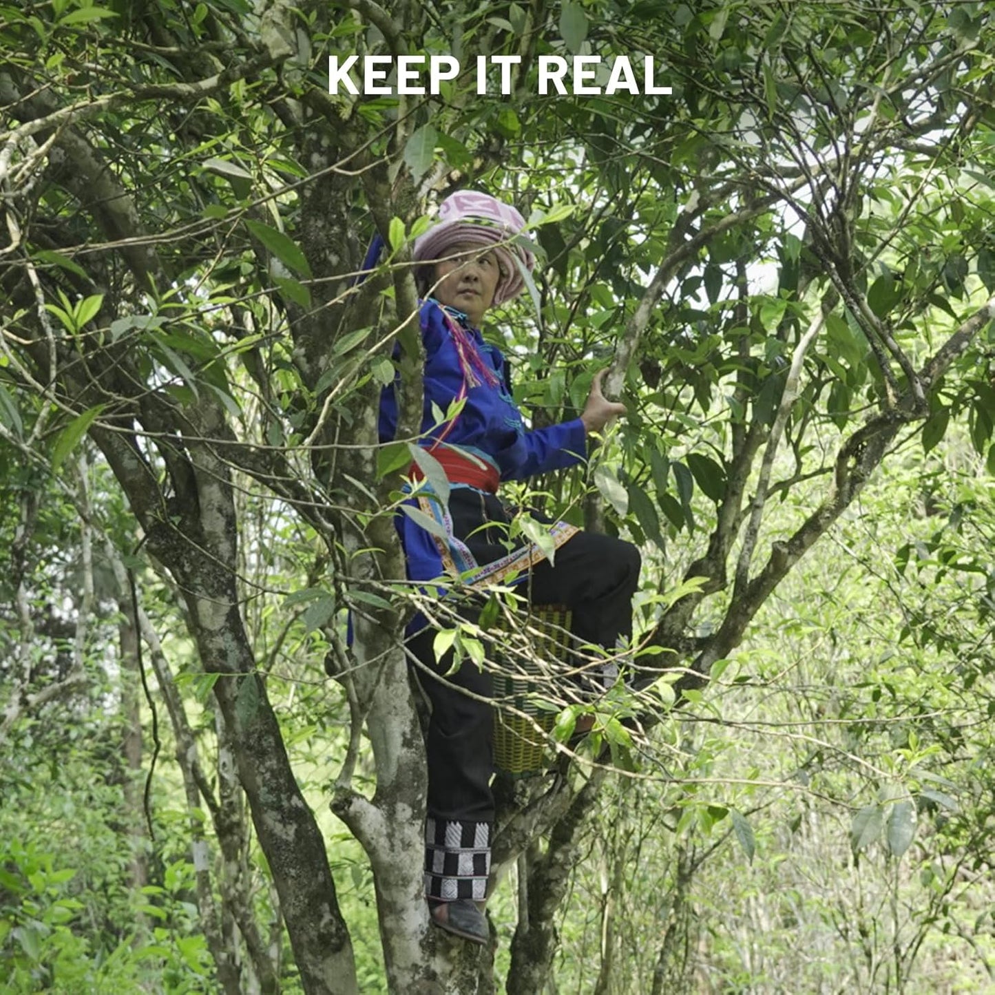 iTeaworld Chinese Green Tea Sampler - 6 Flavors Green tea loose leaf Bag - Chinese Tea With Mediumly Caffeinated, Sugar Free Loose Leaf Tea for Health Come with 20 Tea Bags, 3.5oz