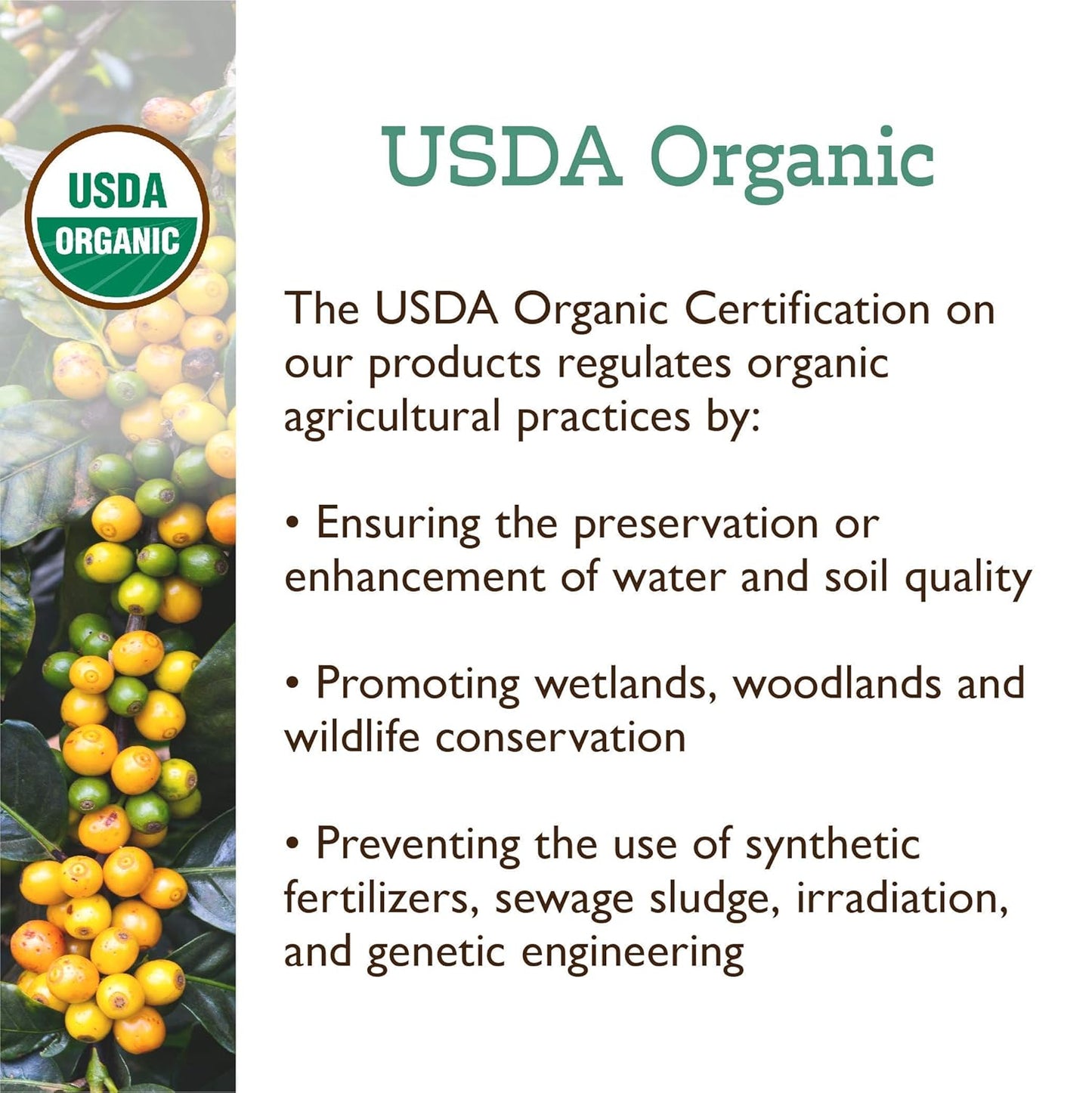 Fresh Roasted Coffee, Organic Donut Shop | USDA Organic, Kosher | Medium Roast 5 lb (80 oz) Ground