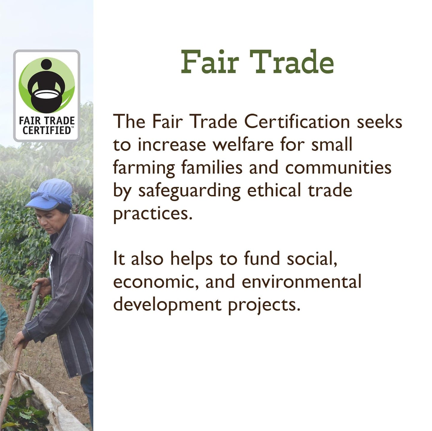 Fresh Roasted Coffee, Organic White Knight | USDA Organic, Kosher | Light Roast 2 lb (32 oz), Ground