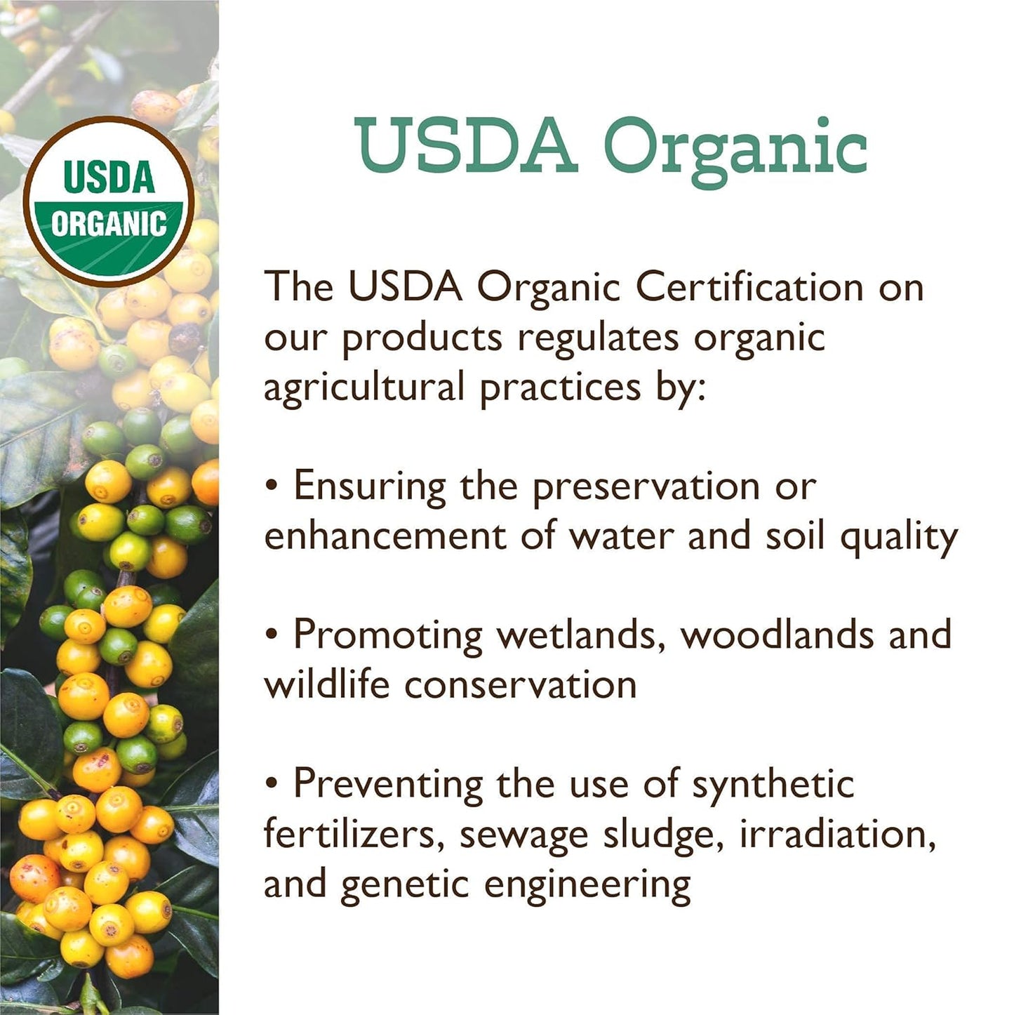 Fresh Roasted Coffee, Organic Dark Mexican | Mold & Myco 3rd Party Tested, USDA Organic, Kosher | Dark Roast 2 lb (32 oz) Ground