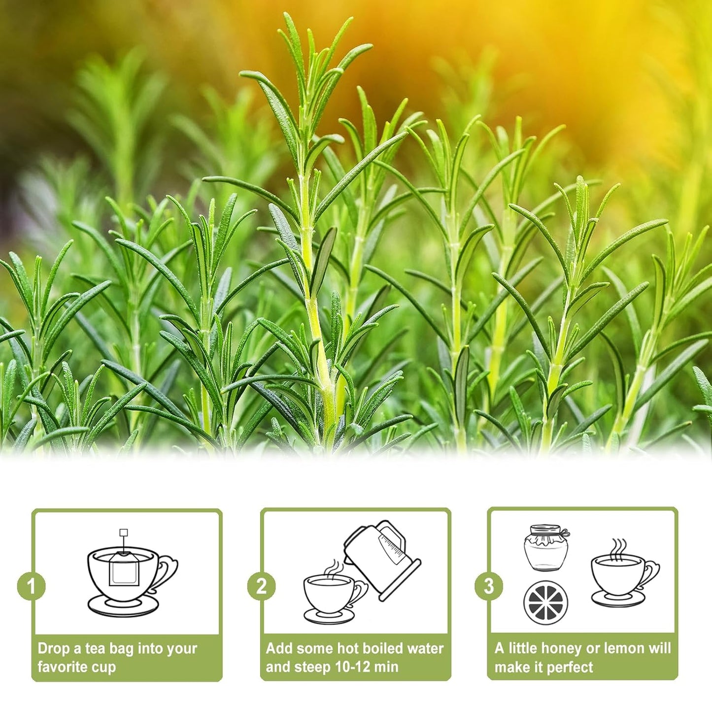 TEARELAE - Rosemary Tea - 1.5g x 50 Count - 100% Pure Rosemary Leaves Tea Bag - Country of Origin Egypt - Aid Digestion & Support Respiratory Health