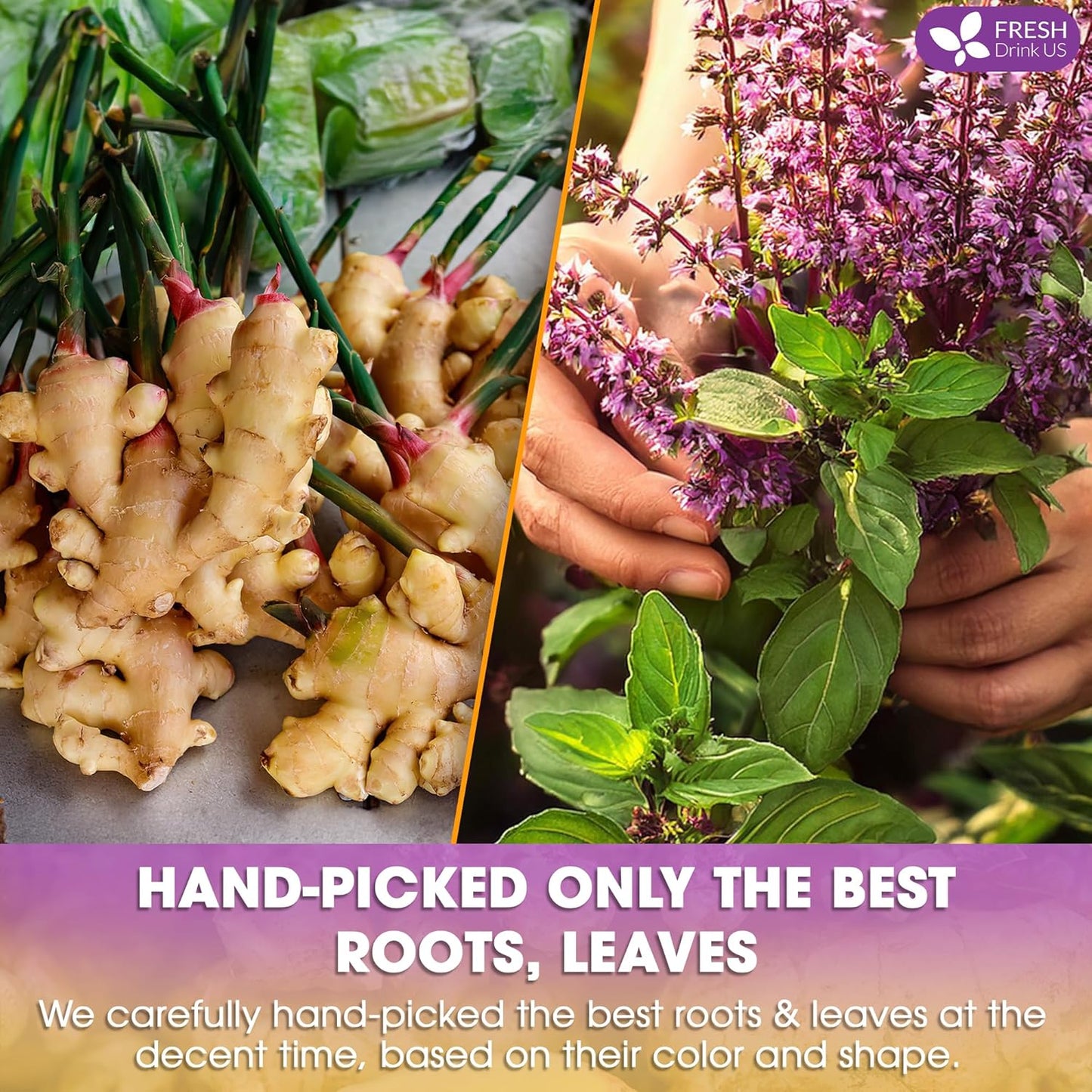 FreshDrinkUS, Premium 35 Ginger Tulsi Tea Bags, 100% Natural, Hand-made Blend of Ginger and Tulsi Holy Basil Leaves, Eco-conscious Tea Bags. Ginger Tulsi Herbal Tea. No Sugar, No Caffeine, Vegan.