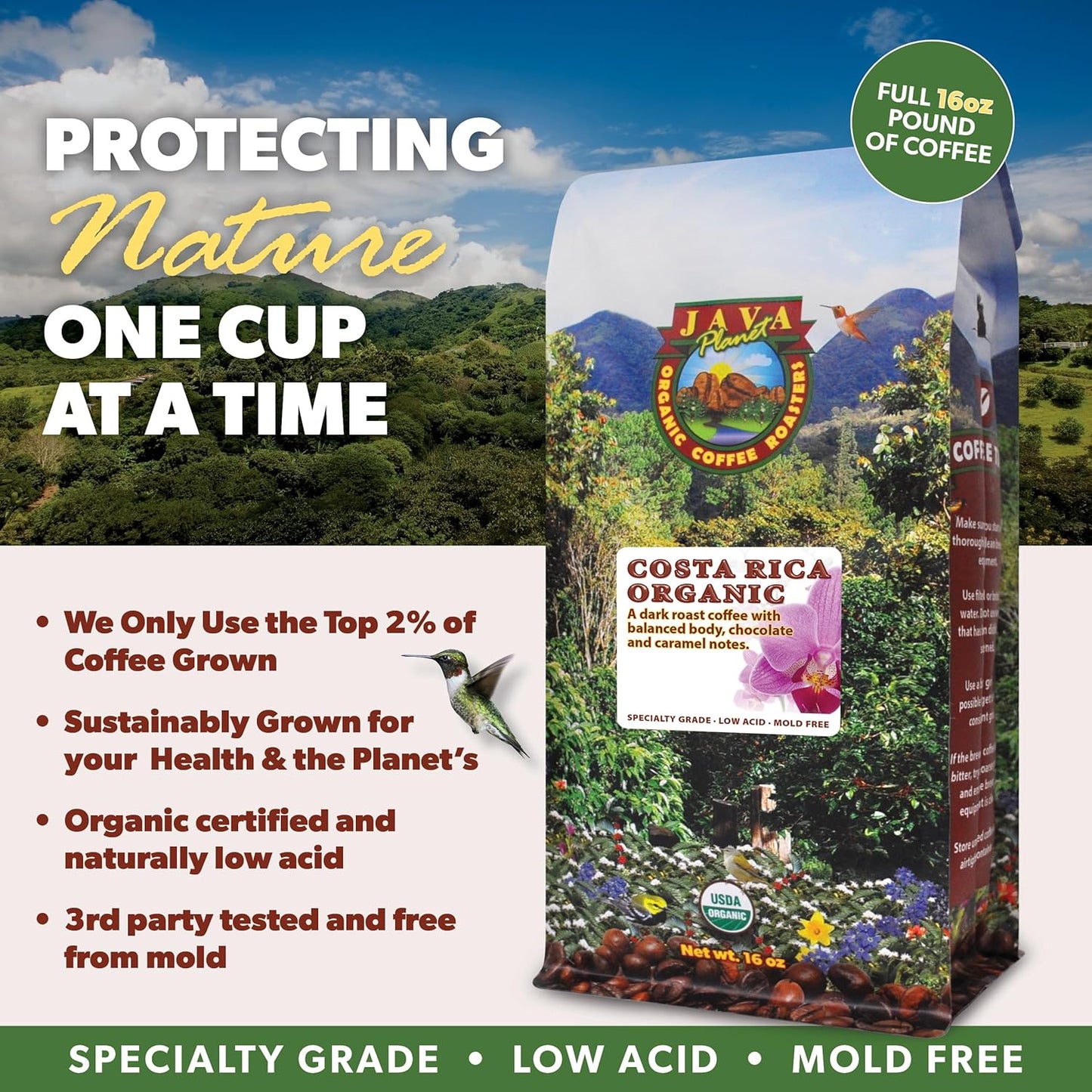 Low Acid Organic Coffee – Whole Bean, Mold-Free & Stomach Friendly by Java Planet, Costa Rican Single Origin Coffee, Dark Roast, Smooth Full Flavored, 1LB Bag