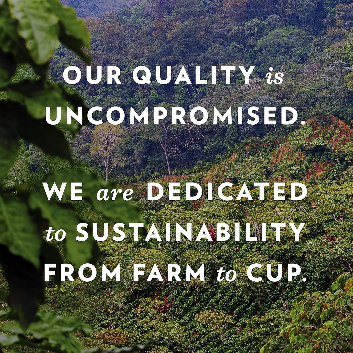 Community Coffee Signature Blend 60 Count Coffee Pods, Dark Roast, Compatible with Keurig 2.0 K-Cup Brewers, Box of 60 Pods