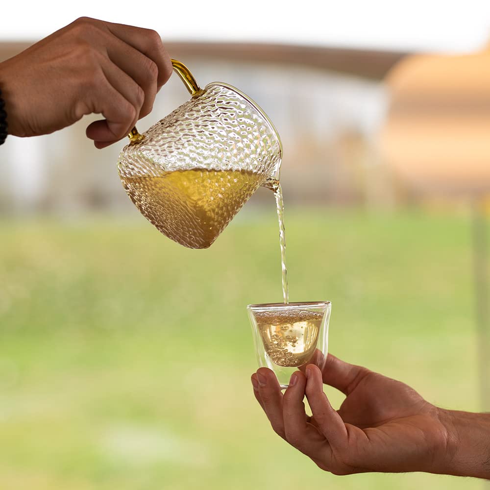 Grace Farms Organic JASMINE Green Tea (100 Enveloped Pyramid Sachets w/String & Tag) | Fragrant and Sweet | Fairtrade and Kosher Certified | Best Green Tea | Gives Back 100% of Profits