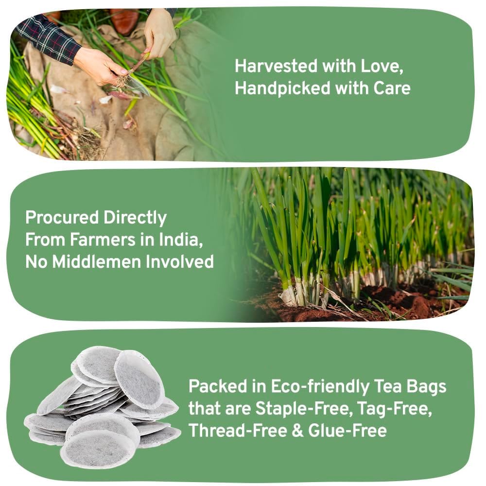 HANDPICK, Lemongrass Tea Bags (100 Count) Non-GMO, Caffeine Free - Quality Lemongrass Herbal Tea- Eco-conscious Round Tea Bags | Brew Hot or Iced Tea