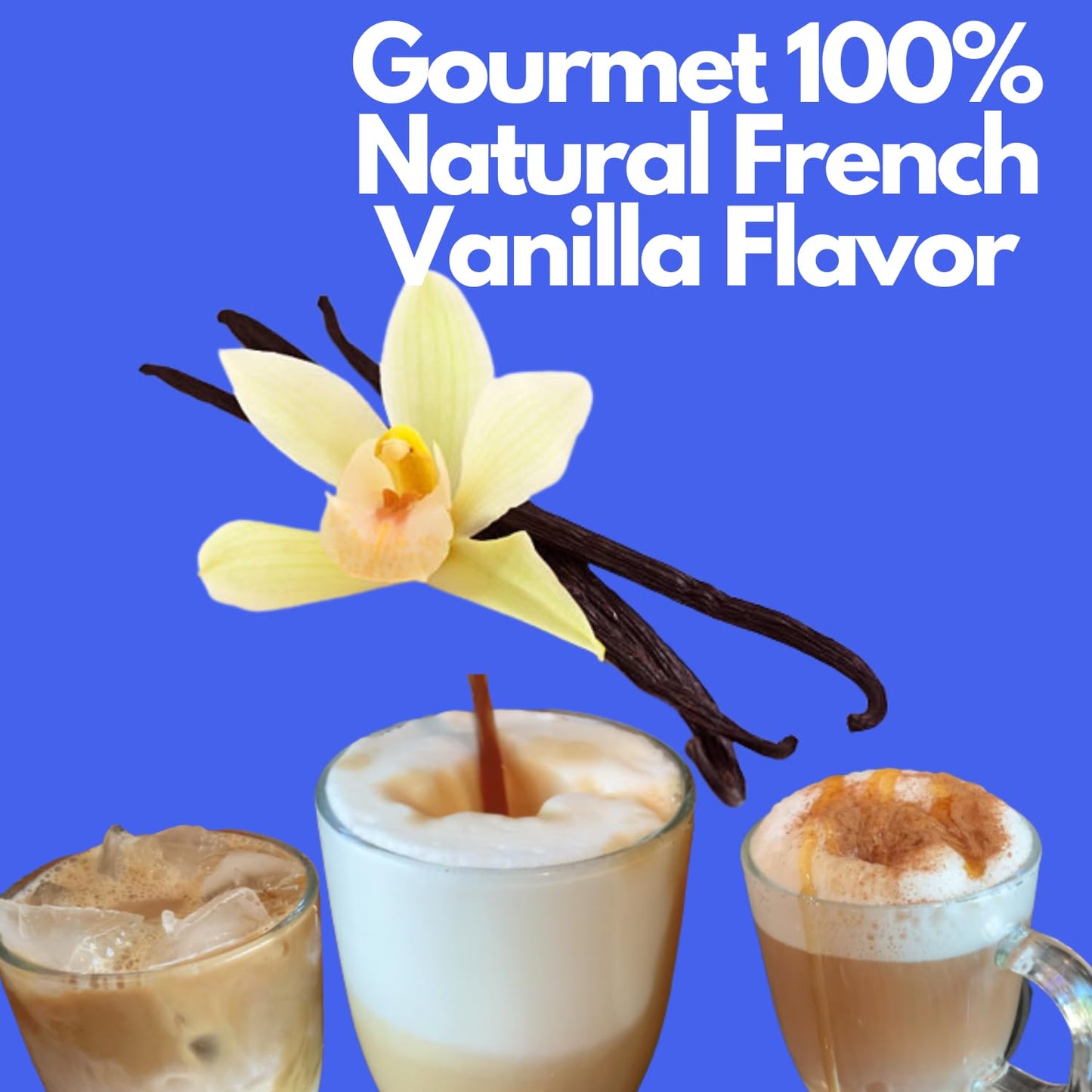 Sarasota Coffee Whole Bean French Vanilla | Medium Roast Gourmet Flavored Coffee Beans | Low Acid, Mold Free, Specialty Grade Bulk Beans | 5lb (80 oz)