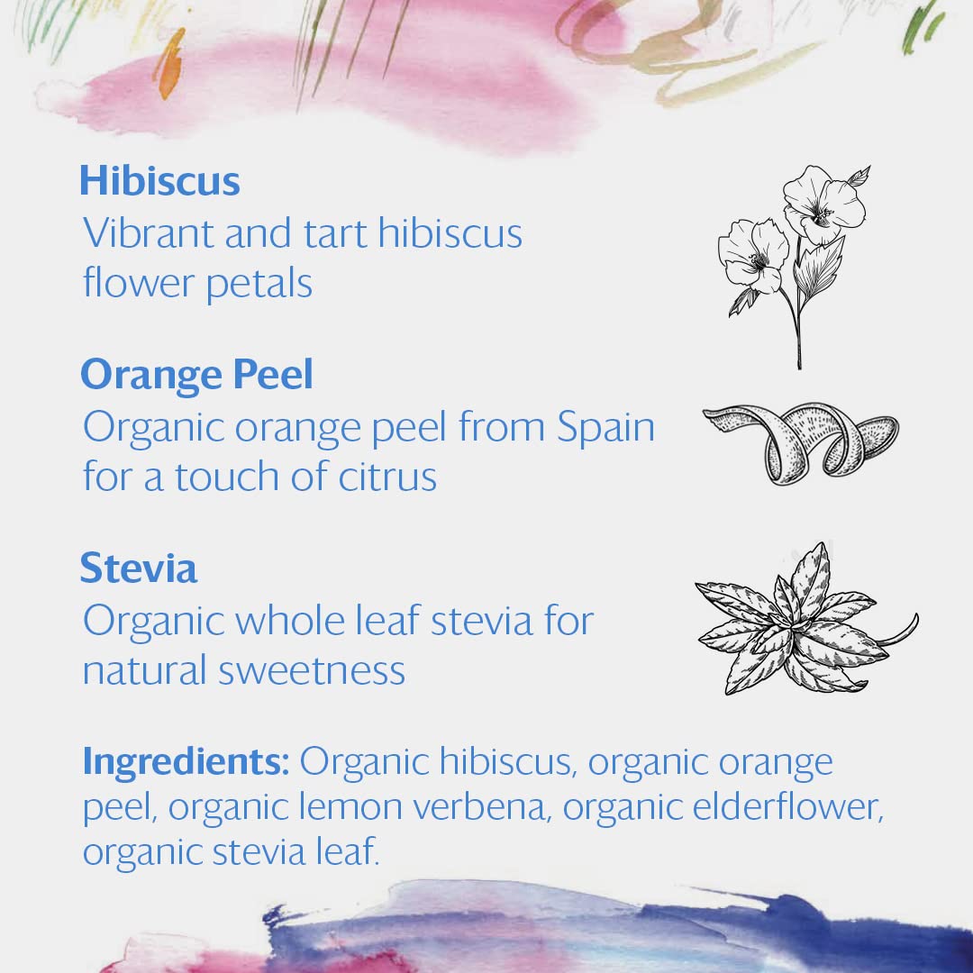 Grace Farms HIBISCUS ORANGE Herbal Tea (16 Pyramid Sachets) | Naturally Sweet, Reviving and Caffeine Free | Organic, Fair Trade and Kosher Certified | Delicious Iced Tea | Gives Back 100% of Profits