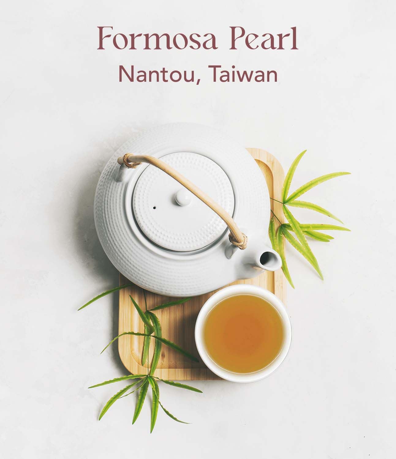 OOTINE, Formosa Pearl Taiwan Oolong Tea Bags (12 Sachets) | Roasted Nutty Notes | Hand-Picked Quality Whole Leaves in Plant-Based Sachets | Caffeine Alternative, Daily Antioxidant Support | Multiple Infusions