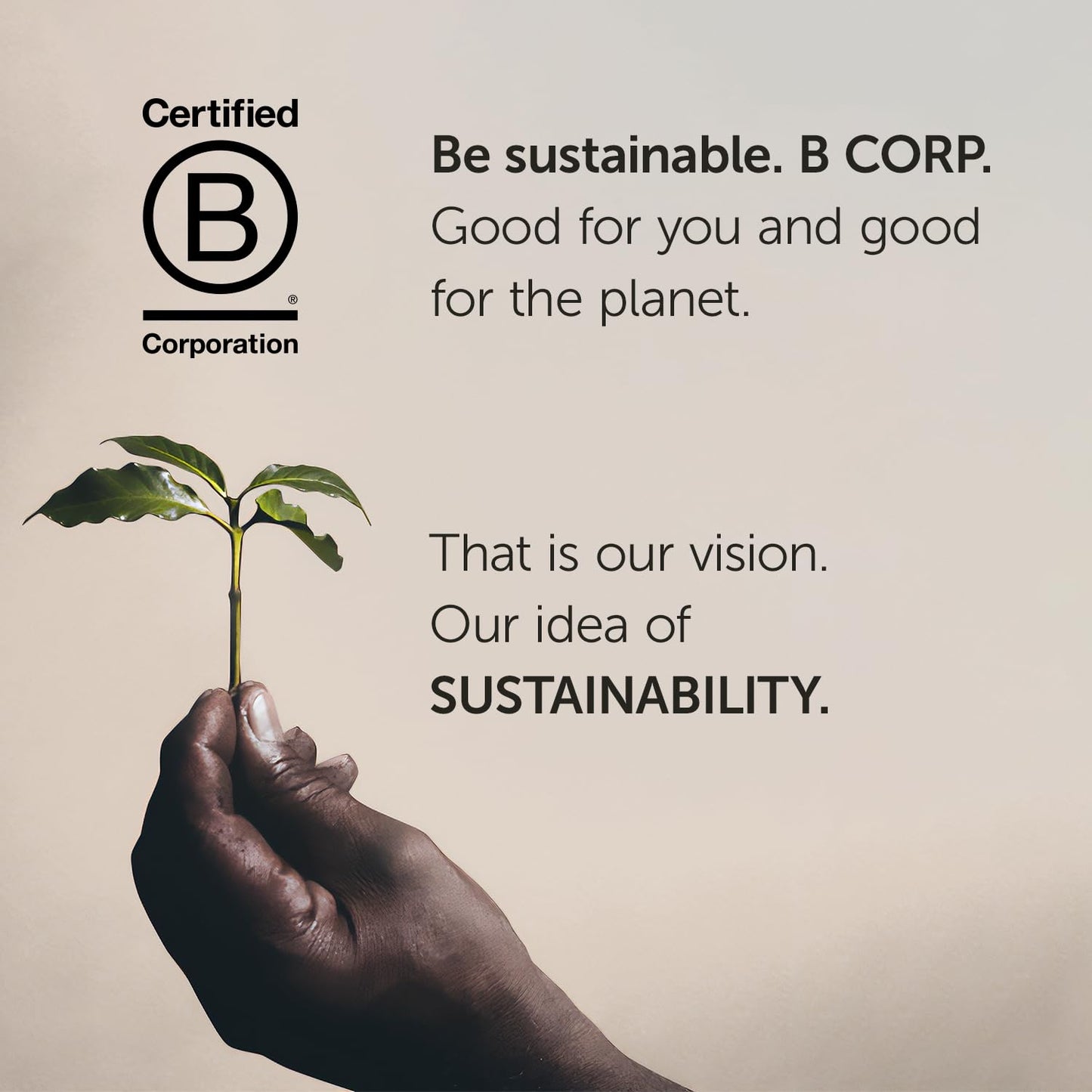 Illy Whole Bean Coffee, Classico Medium Roast - Mild & Balanced - 100% Arabica - Whole Beans - Pressurized Packaging Sealed for Freshness - 8.8oz can (Pack of 6)