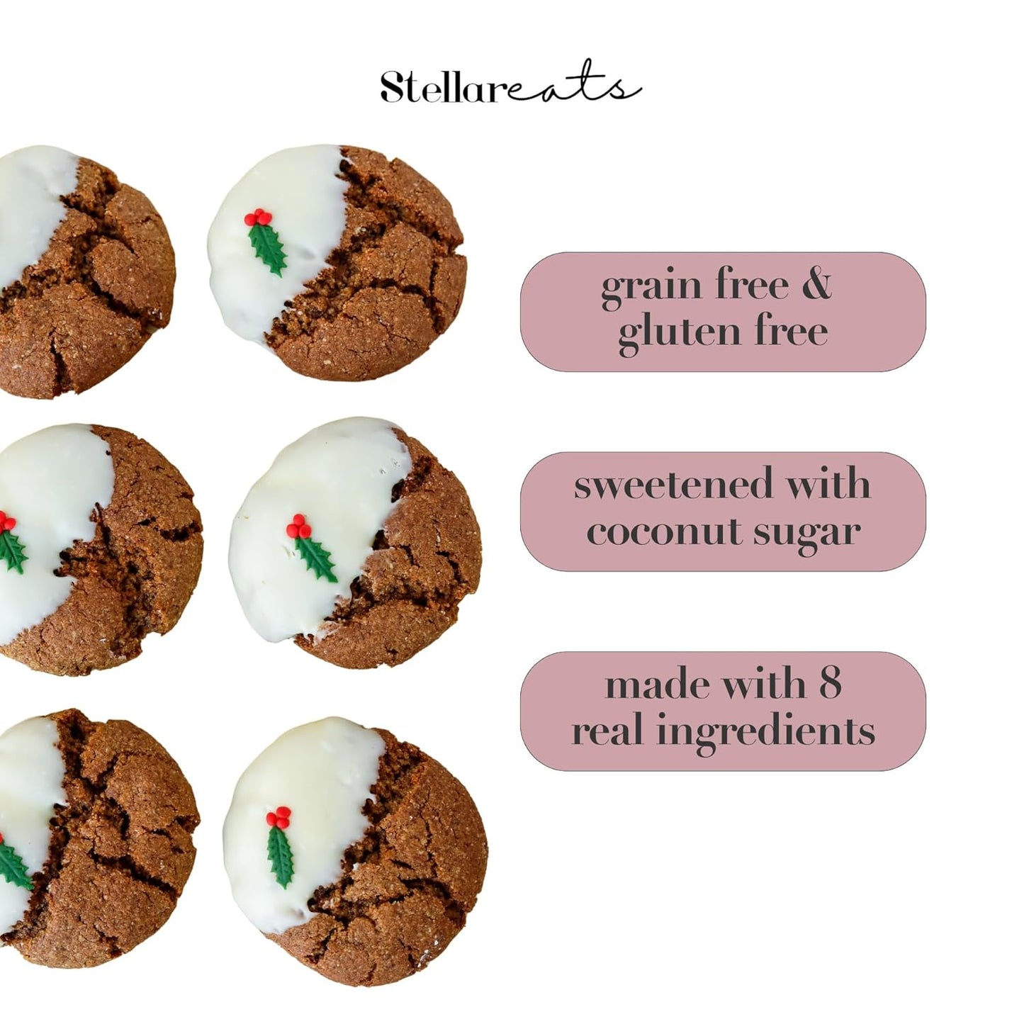 Stellar Eats Grain-Free Gingerbread Cookie Baking Mix | Gluten-Free, Dairy-Free, Plant-Based, Paleo-Friendly | Sweetened with Coconut Sugar | Almond Flour-Based | Non-GMO, Kosher | 8.5 oz | 1 Pack