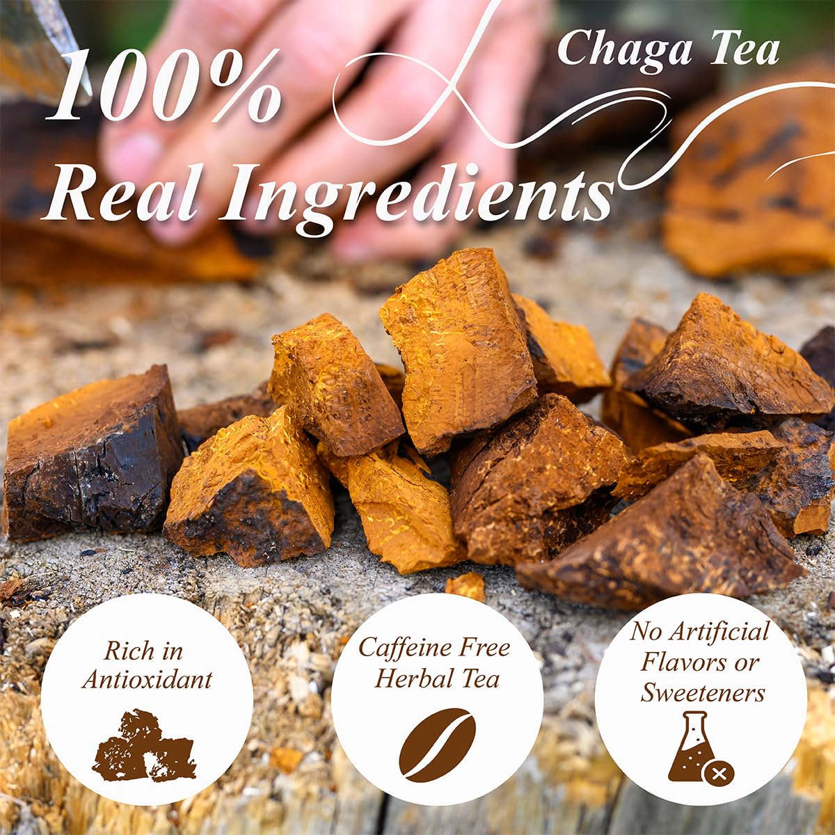 WT WEETEE Chaga Tea Bags 100 Count, 100% Siberian Birch Chaga Mushroom Tea, Caffeine-Free - Rich in Antioxidants