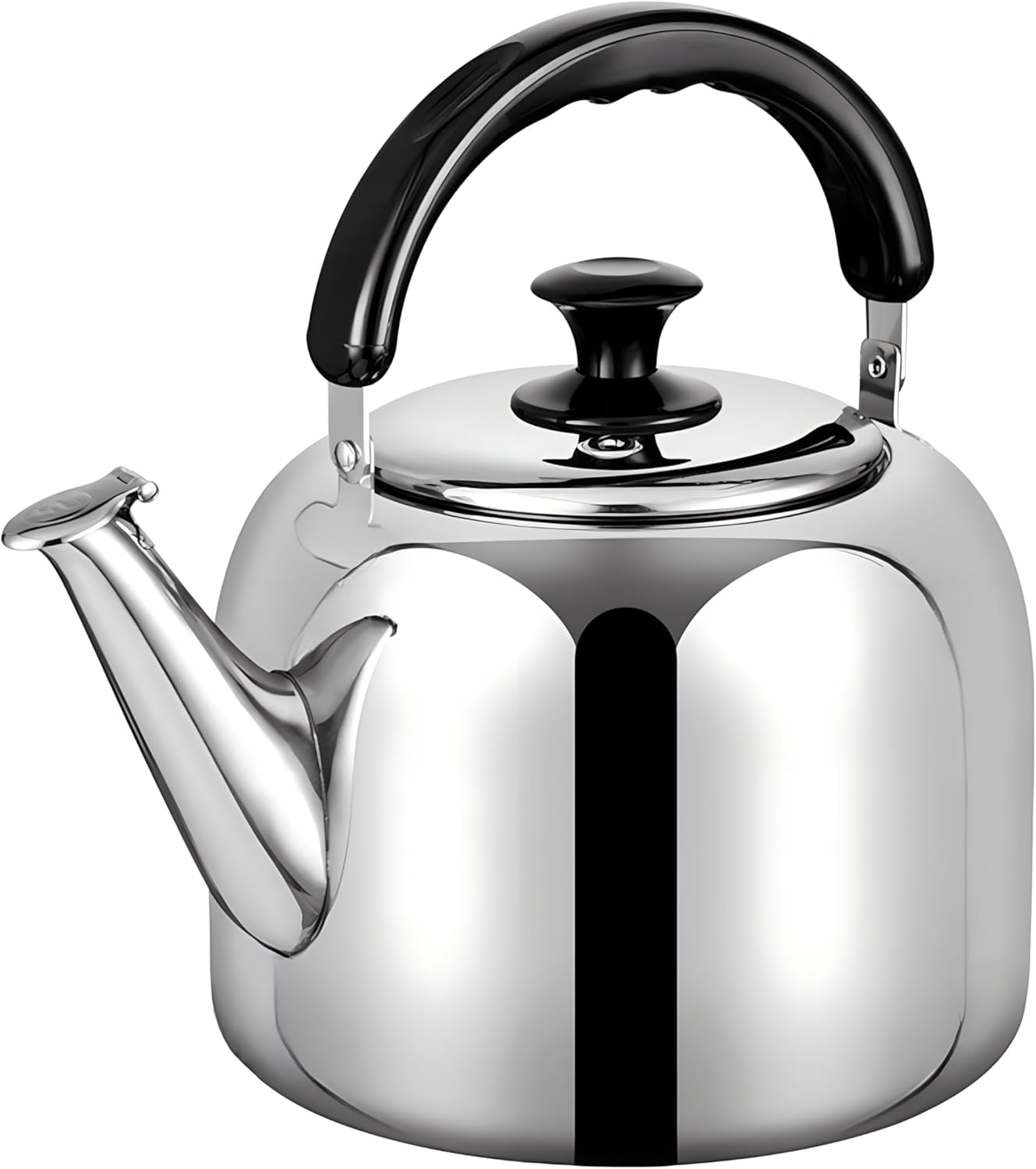 Whistling Stovetop Tea Kettle,Food Grade 316 Stainless Steel,Hot Water Fast to Boil,Stovetop Kettle with Ergonomic Handle,3.1 Quart Capacity