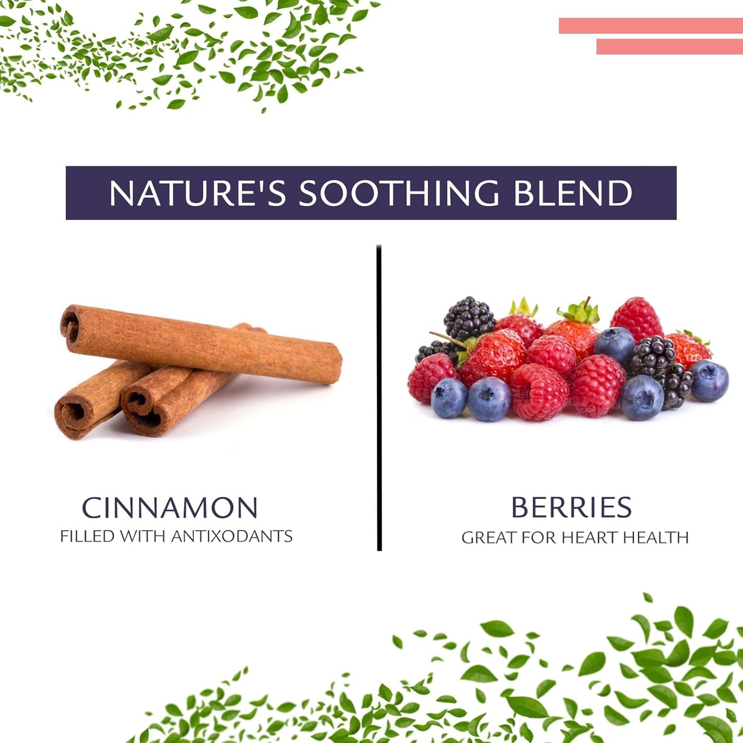 Birdsong Fountain of Pitta: Organic Green Tea Bags with Berries, Rooibos, and Cinnamon | Light, Refreshing and 100% Natural Tea with Health Benefits | 18 Pyramid Tea Sachets