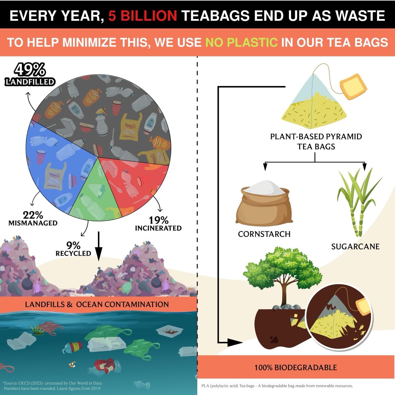 BREWIX, Peach Black Tea (50 Plant Based Pyramid Bags) | Premium Black Tea with Peach | Floral & Refreshing | Iced or Hot | Caffeinated And Sugar-Free