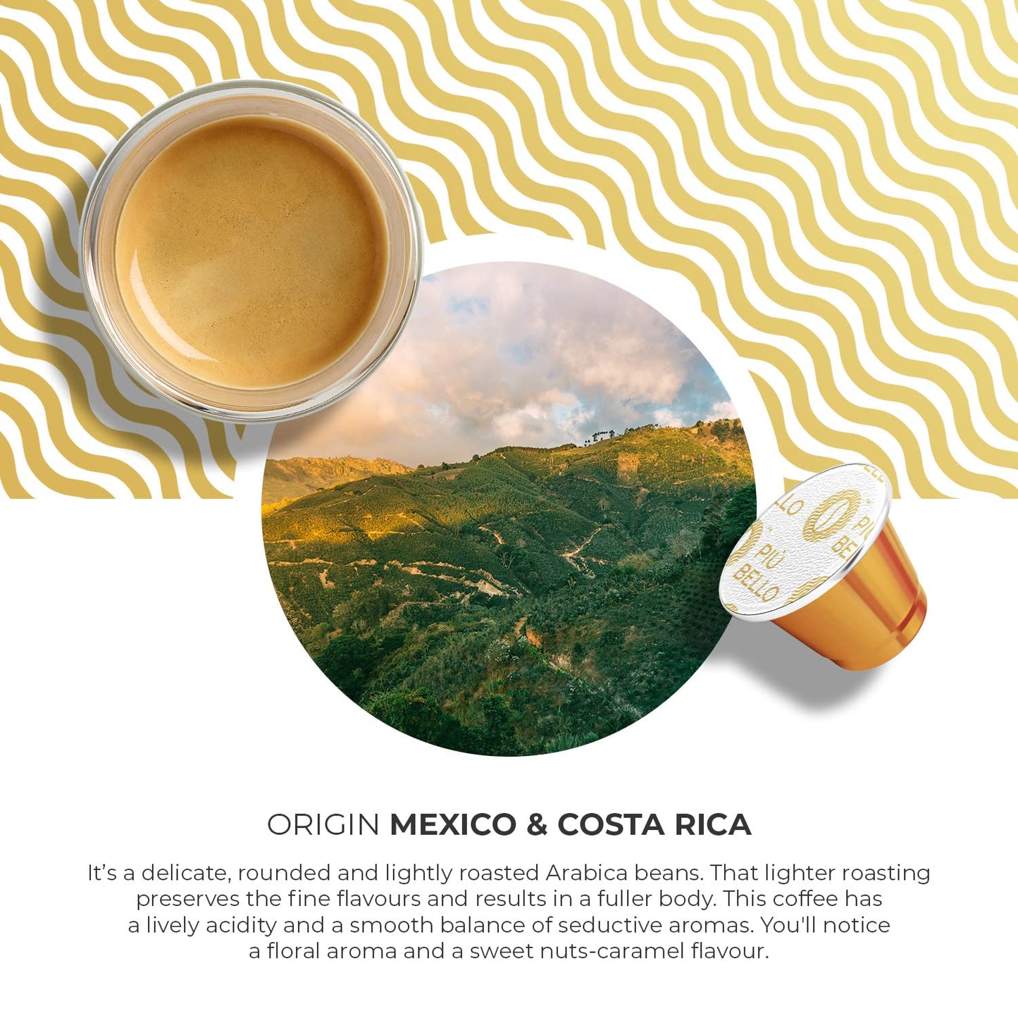 Piu Bello Coffee Pods - Nespresso Machine (Original) Compatible Capsules Pack - Rich & Balanced Taste - Strong Italian Espresso Flavored - Kosher Certified (120 Count Single Flavor) (Espresso Bionda)