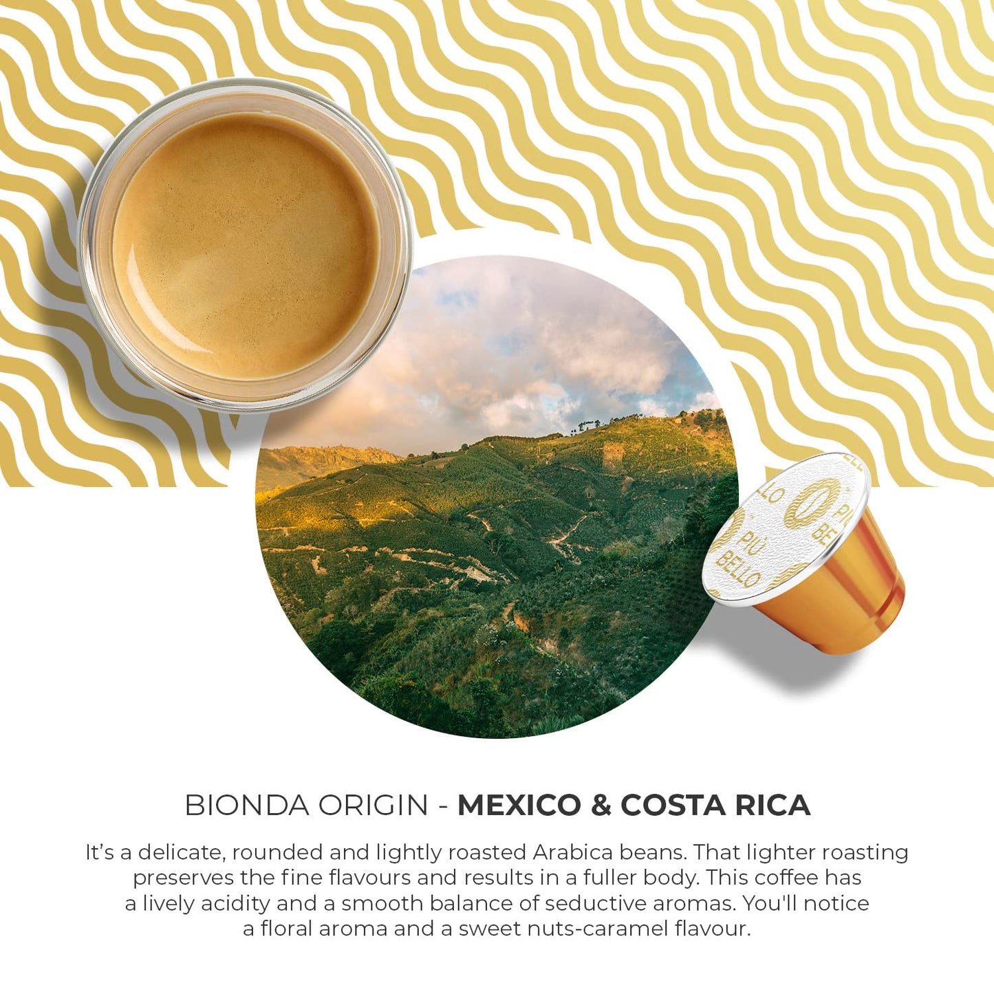 Piu Bello Bionda Espresso Coffee Pods for Nespresso Original Machines – Compatible Capsules Pack – Rich & Balanced Taste – Strong Italian Espresso Flavor – Kosher Certified (60 Count, Single Flavor)