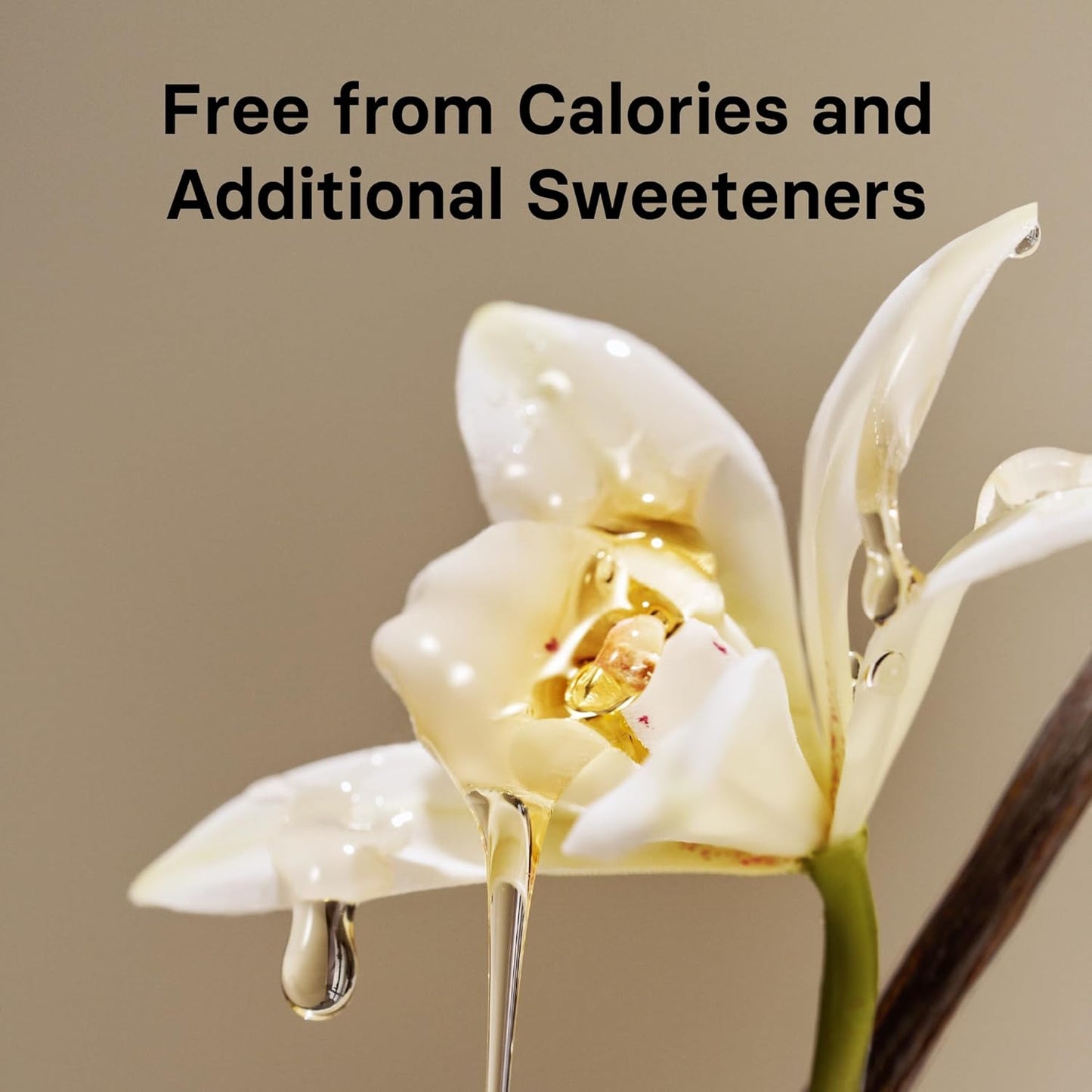 OSULLOC Vanilla Honey Black Tea (20 count, 1.05 oz), Black tea filled with Sweet Flavor of French Vanilla and Honey, Premium Blended Tea bags from Jeju Island