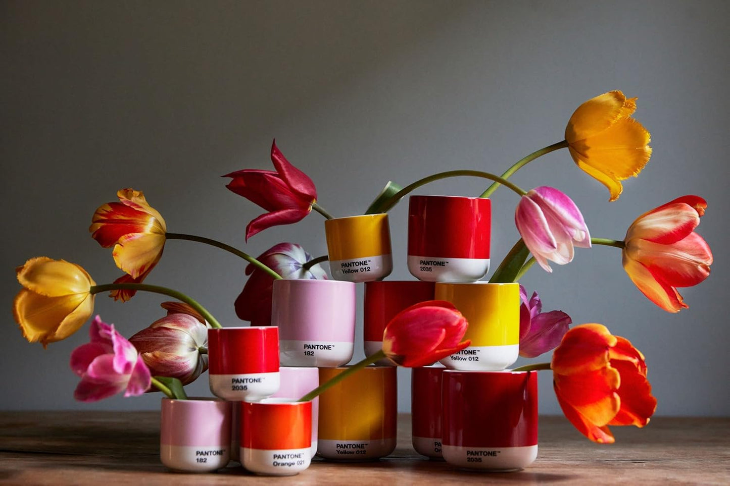 Copenhagen Design Pantone Macchiato Cup - Coffee, Latte, Macchiato Mug - 3.34oz/100ml, Warm Grey 2