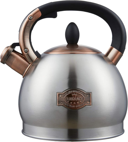 Tea Kettle -2.8 Quart Tea Kettles Stovetop Whistling Teapot Stainless Steel Tea Pots for Stove Top Whistle Tea Pot