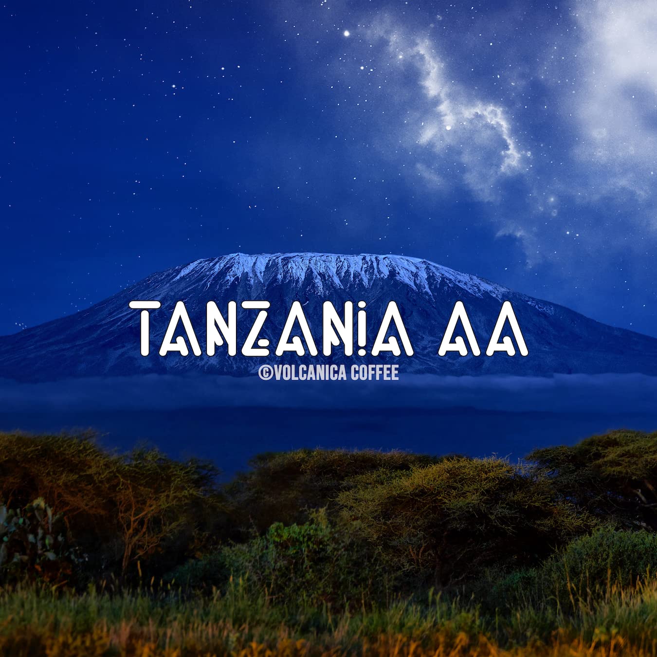 Tanzania AA Coffee, Mount Kilimanjaro, Ground, Fresh Roasted, 5 lbs