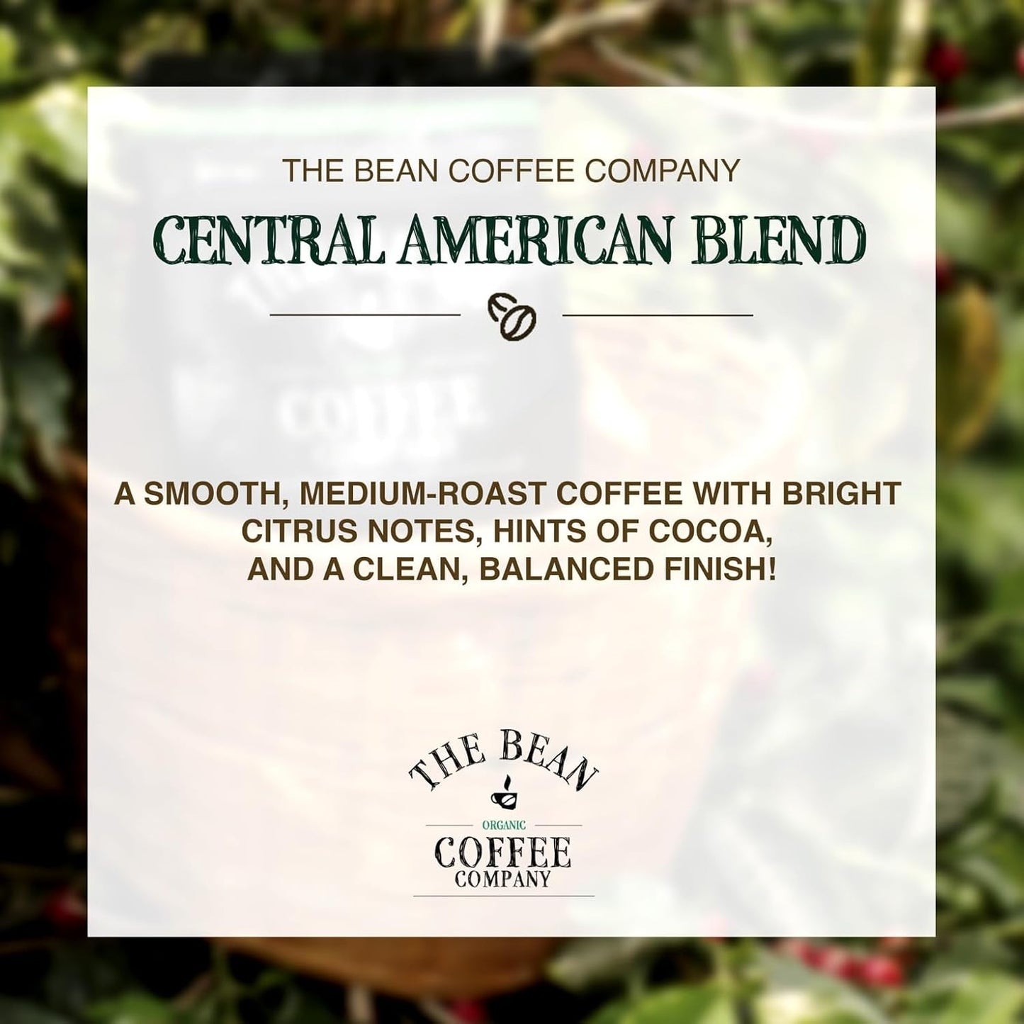 The Bean Organic Coffee Company Central America, Medium Roast, Ground Coffee, 5-Pound Bag,Café molido tostado organico