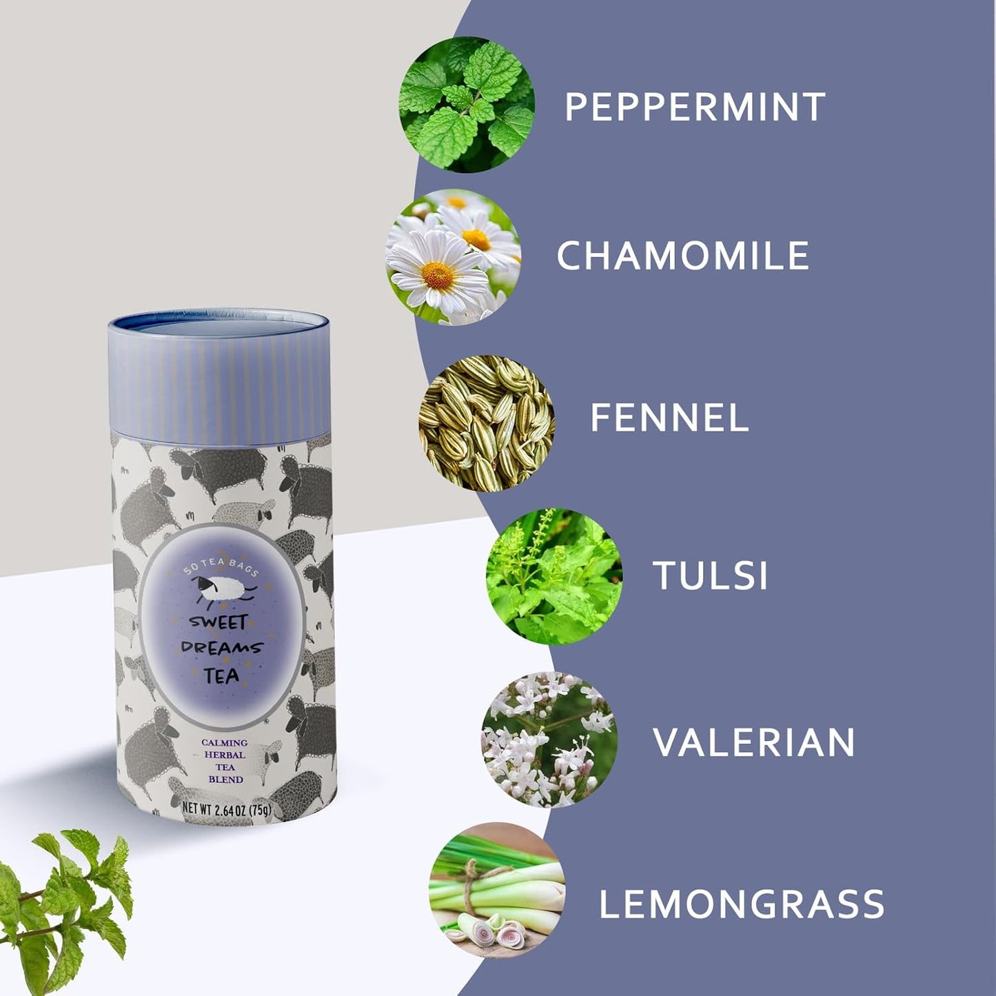 Life Plus Style Gourmet Sweet Dreams Calming Herbal Tea Organic Peppermint Natural Herbal Fennel Tea Caffeine Free Chamomile Tea Hot or Iced Soothing Blend Sleep Relax Supports Wellness 60 Tea Bags