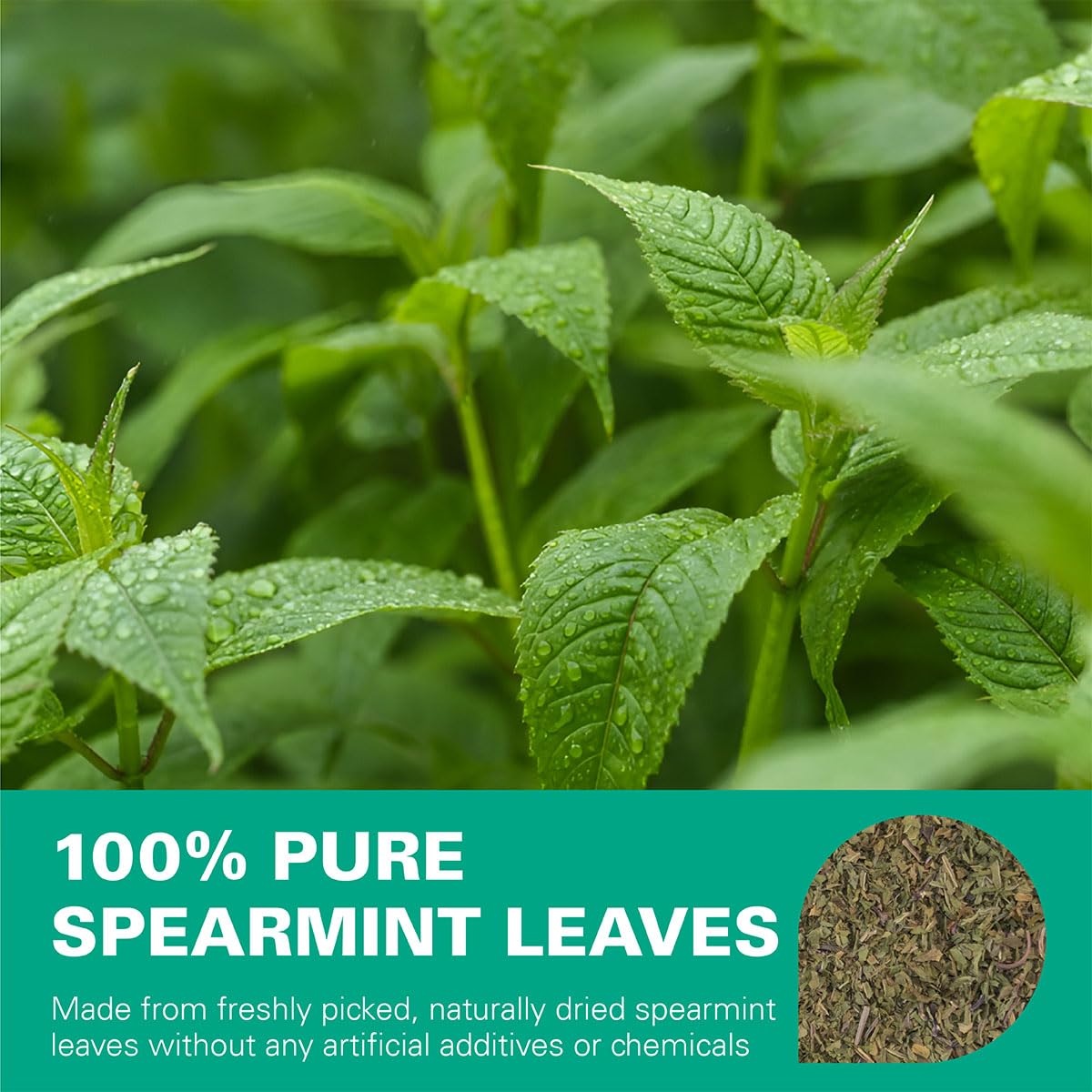 WT WEETEE Spearmint Tea Bags, Made with 100% Pure Spearmint Leaf, Natural Caffeine-free Herbal Tea, Refreshing & Smooth Mint Tea