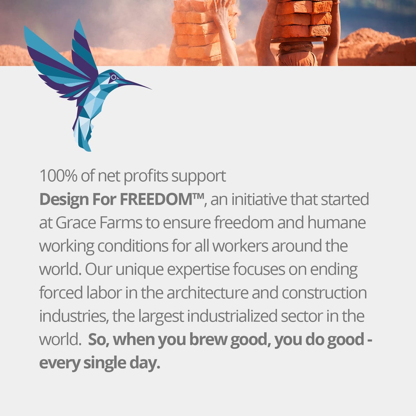 Grace Farms Organic SPEARMINT ROSE Herbal Tea (100 Enveloped Pyramid Sachets w/ String & Tag) | Naturally Sweet, Stress Relieving and Caffeine Free | Organic, Fair Trade and Kosher Certified | Delicious Iced Tea | Gives Back 100% of Profits