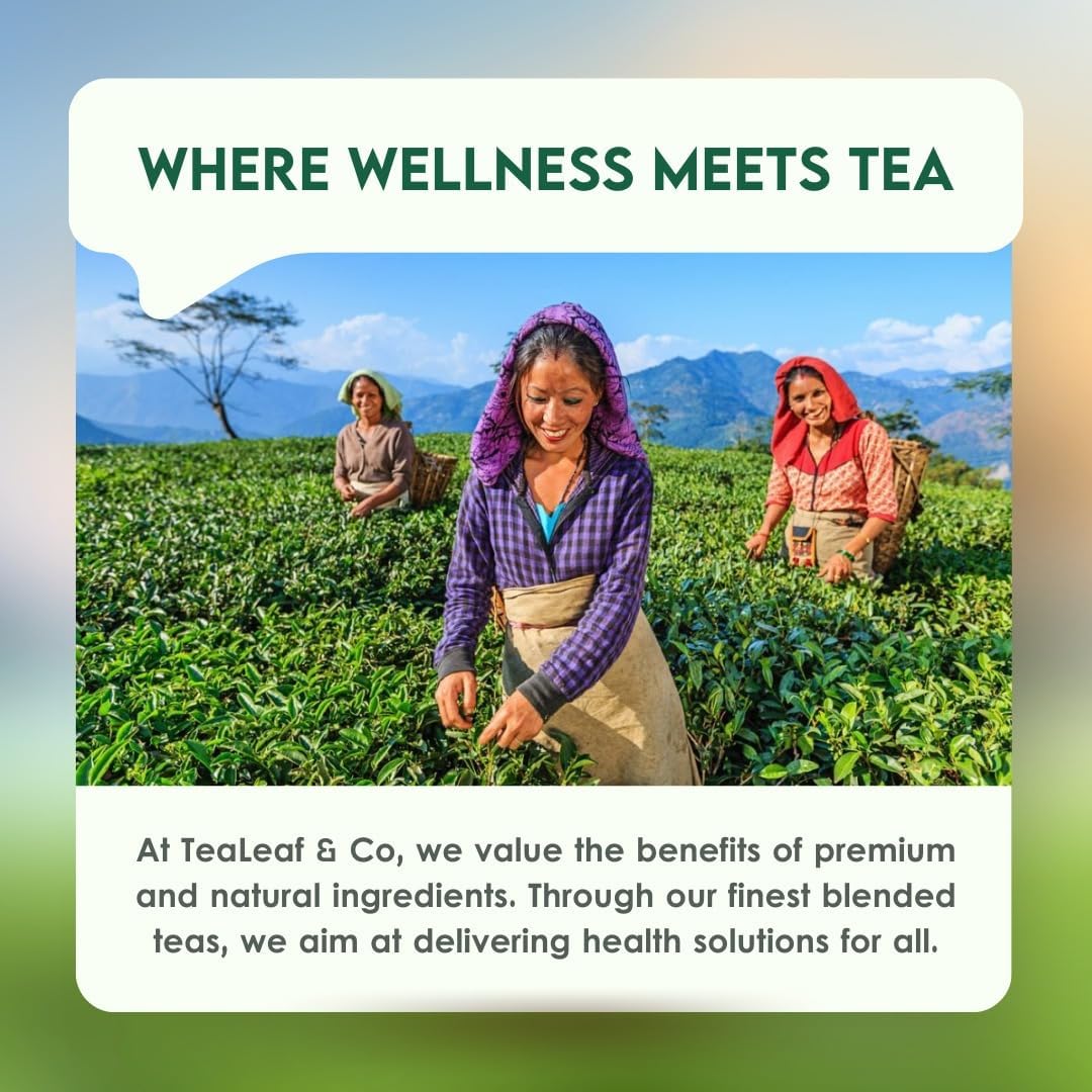 Tealeaf & Co. Honey Lemon Green Tea with Lemon & Honey Extract, Lemongrass, Licorice & Chamomile - Organic Green Tea Bags with Fresh Herbs and Spices - 100 Teabags (7.055oz/200gm)