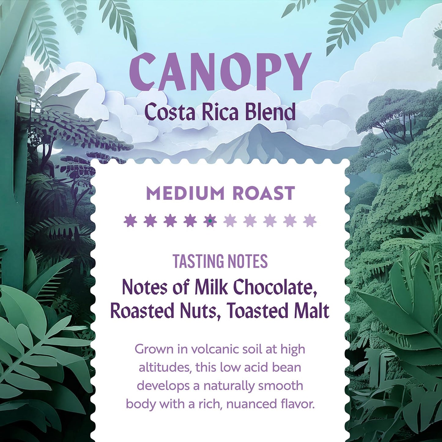 Clean Coffee Co. - Low Acid Medium Roast, Tested for Molds and Toxins, Costa Rica Blend, Notes of Milk Chocolate, Roasted Nuts, Toasted Malt (Whole Bean, 12 oz Bag)
