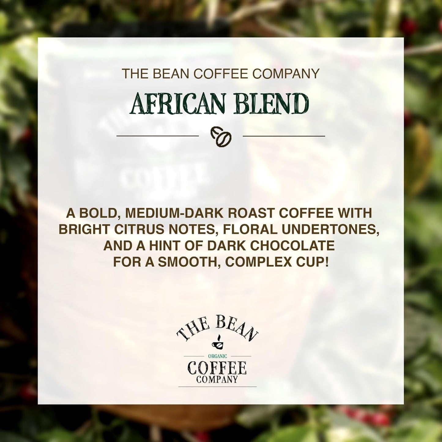 The Bean Organic Coffee Company African Blend, Medium Roast, Ground Coffee, 16-Ounce Bags (Pack of 2), Café molido tostado orgánico