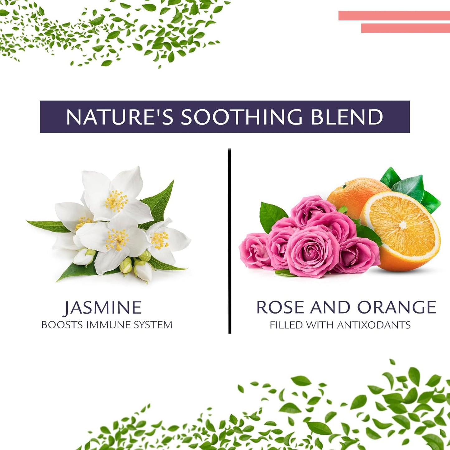 Birdsong Midnight Rosefinch: Organic Jasmine Green Tea with Rose and Orange, Light, Refreshing, Soothing Natural Tea with Citrus and Honey Notes, Medium Caffeine, Loose Leaf Hot Tea