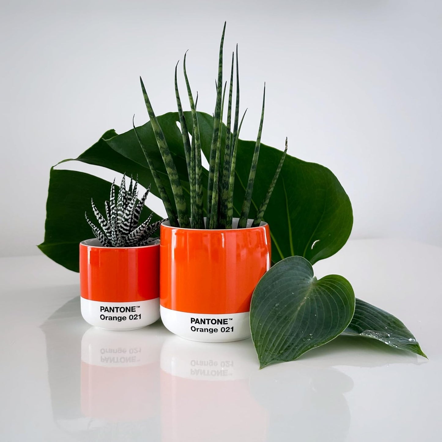 Copenhagen Design Pantone Macchiato Cup - Coffee, Latte, Macchiato Mug - 3.34oz/100ml, Brown 2322