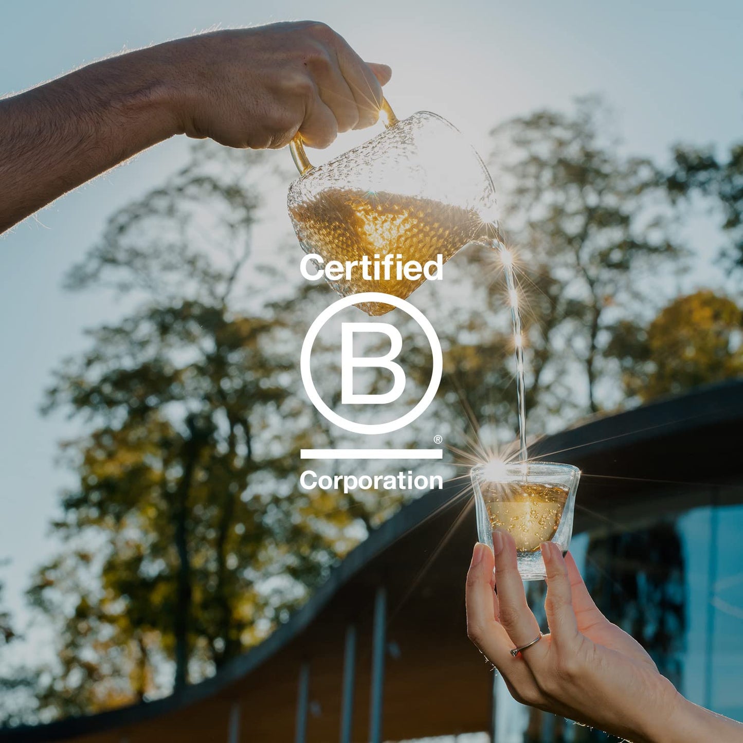 Grace Farms Organic CHAMOMILE CITRUS Herbal Tea (100 Enveloped Pyramid Sachets w/ String & Tag) | Naturally Sweet, Healthy and Caffeine Free | Organic, Fair Trade and Kosher Certified | Gives Back 100% of Profits