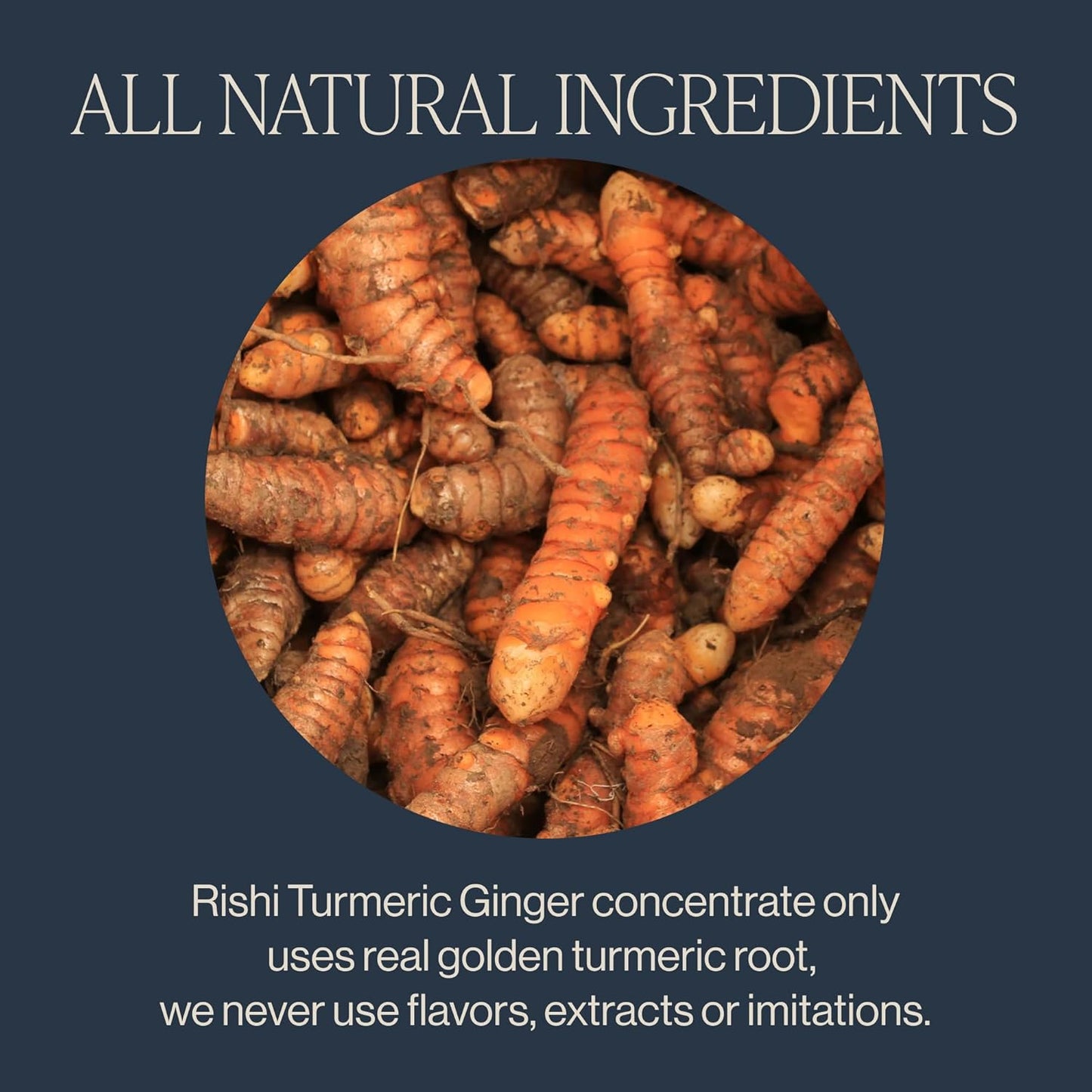 Rishi Tea Turmeric Ginger Chai Latte - Organic Herbal Tea Concentrate with Ayurvedic Ginger, Easy-to-Serve Hot or Iced Caffeine Free Chai Mix - 32 oz Carton, 8 Servings (Pack of 3)