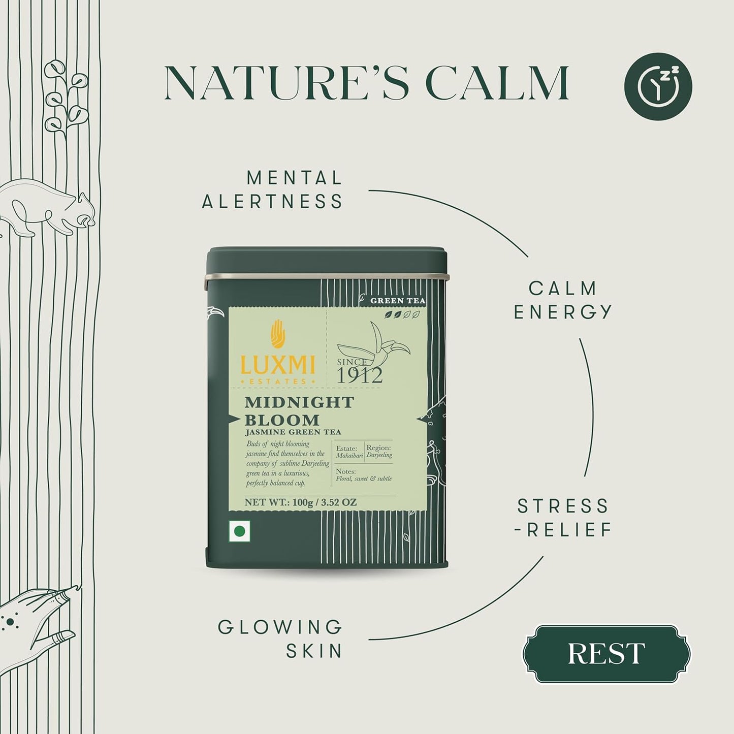 Luxmi Estates, Midnight Bloom, Organic Jasmine Tea (Loose Leaf 100g) Jasmine and Darjeeling Green Tea for Energy with no Jitters, Natural Aid Relieve Stress, Improved Mental Clarity and Immunity