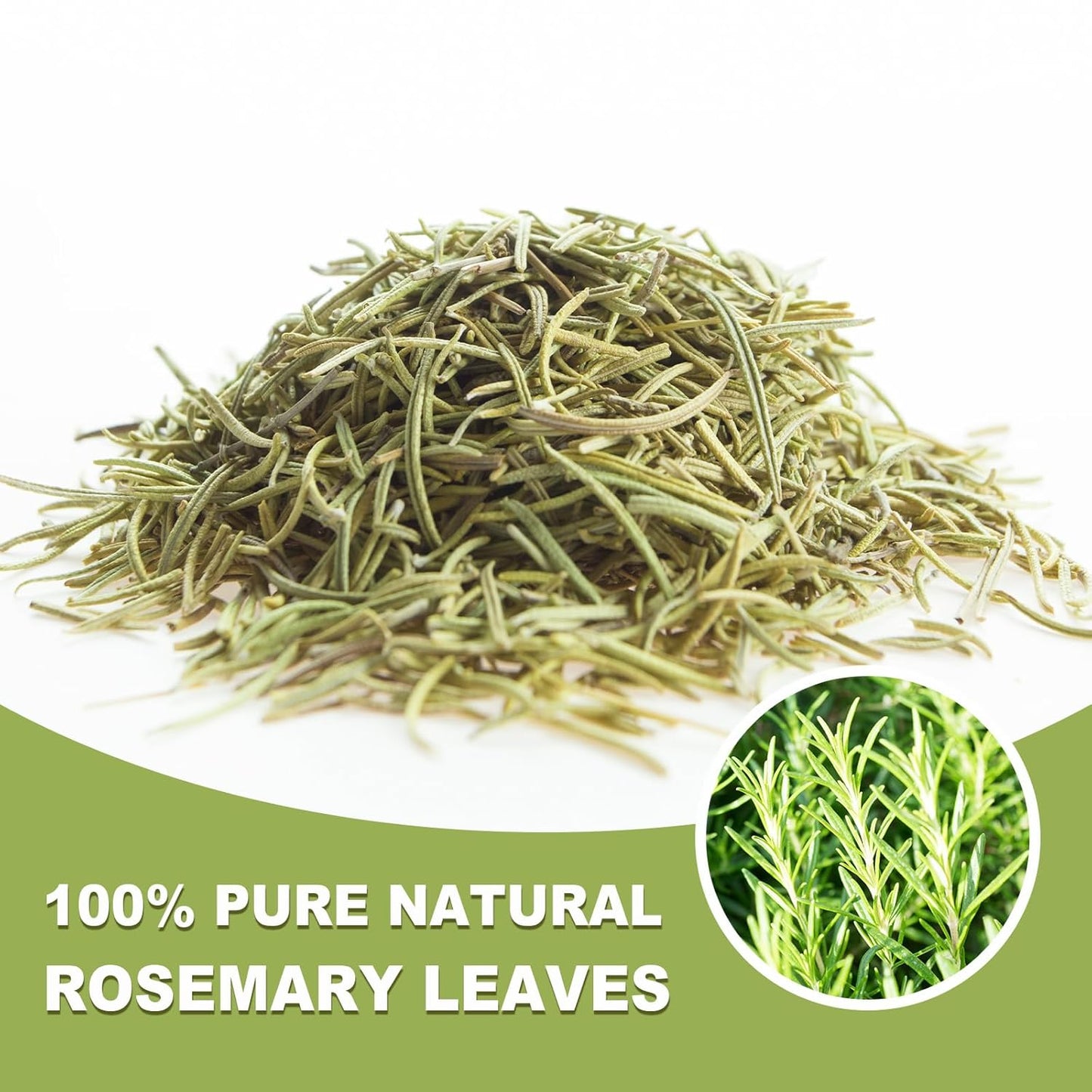 TEARELAE - Rosemary Tea - 1.5g x 50 Count - 100% Pure Rosemary Leaves Tea Bag - Country of Origin Egypt - Aid Digestion & Support Respiratory Health