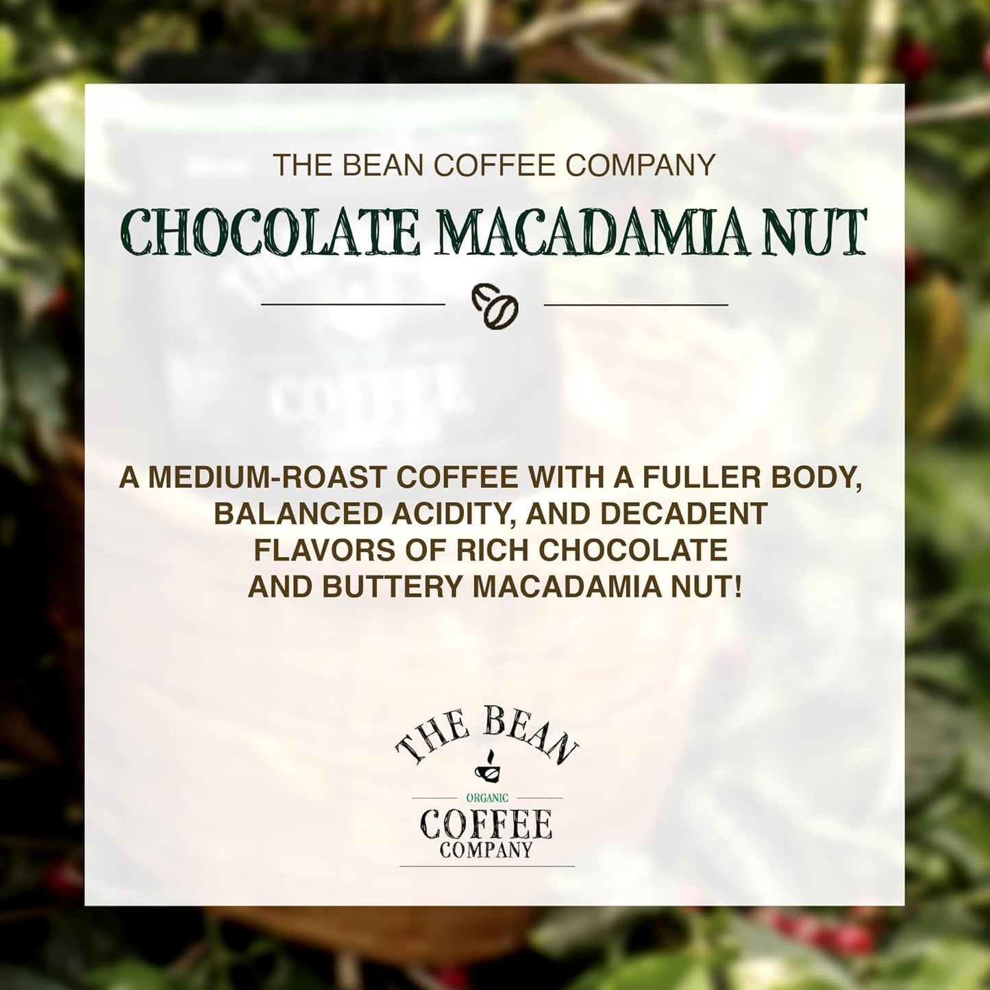 The Bean Organic Coffee Company Chocolate Macadamia Nut, Medium Roast, Whole Bean Coffee, 16-Ounce Bags (Pack of 2)