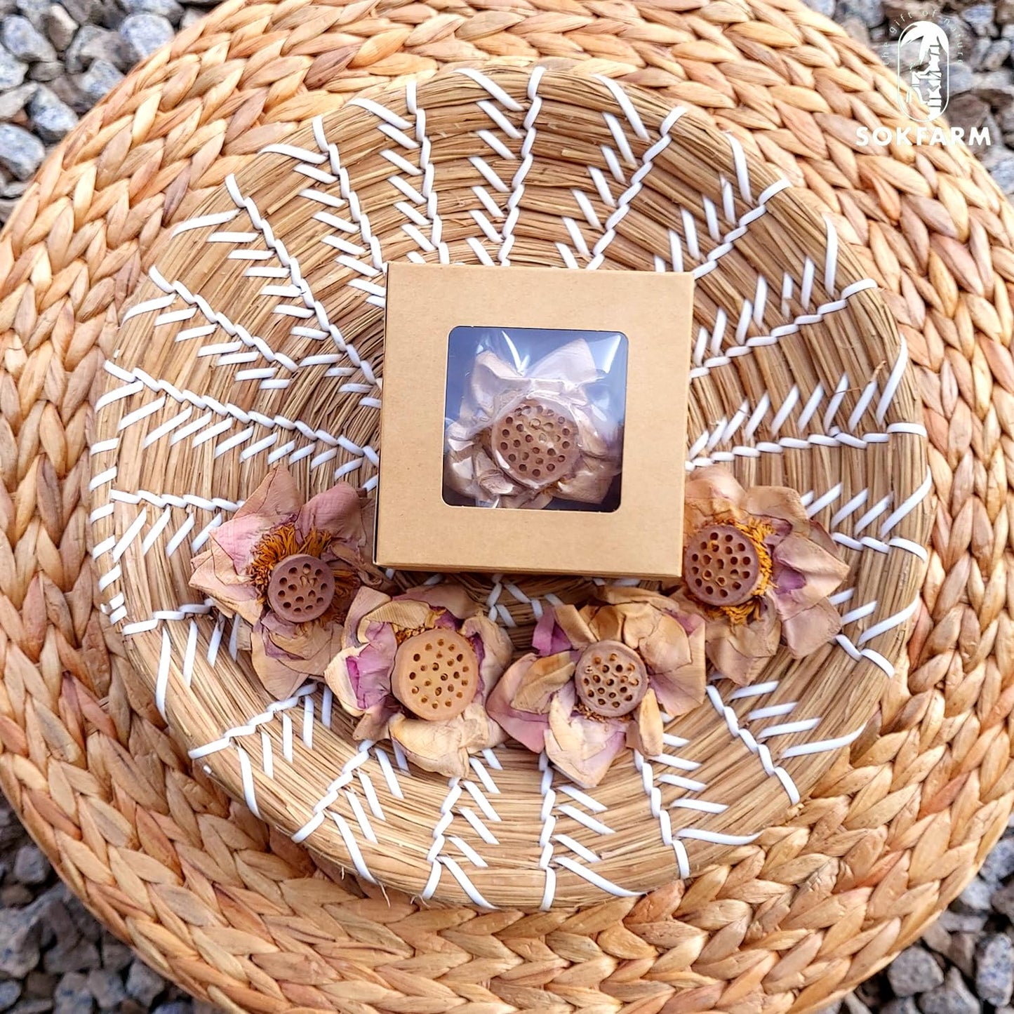 Lotus Flower Tea Bloom Flowering Teas, Dried Whole Blooming Tea Flowers, Blue Dried Flowers Flor De Loto, Delicious Intense Flavor, No Caffeine, Low Calorie (4 Flower Blooms)