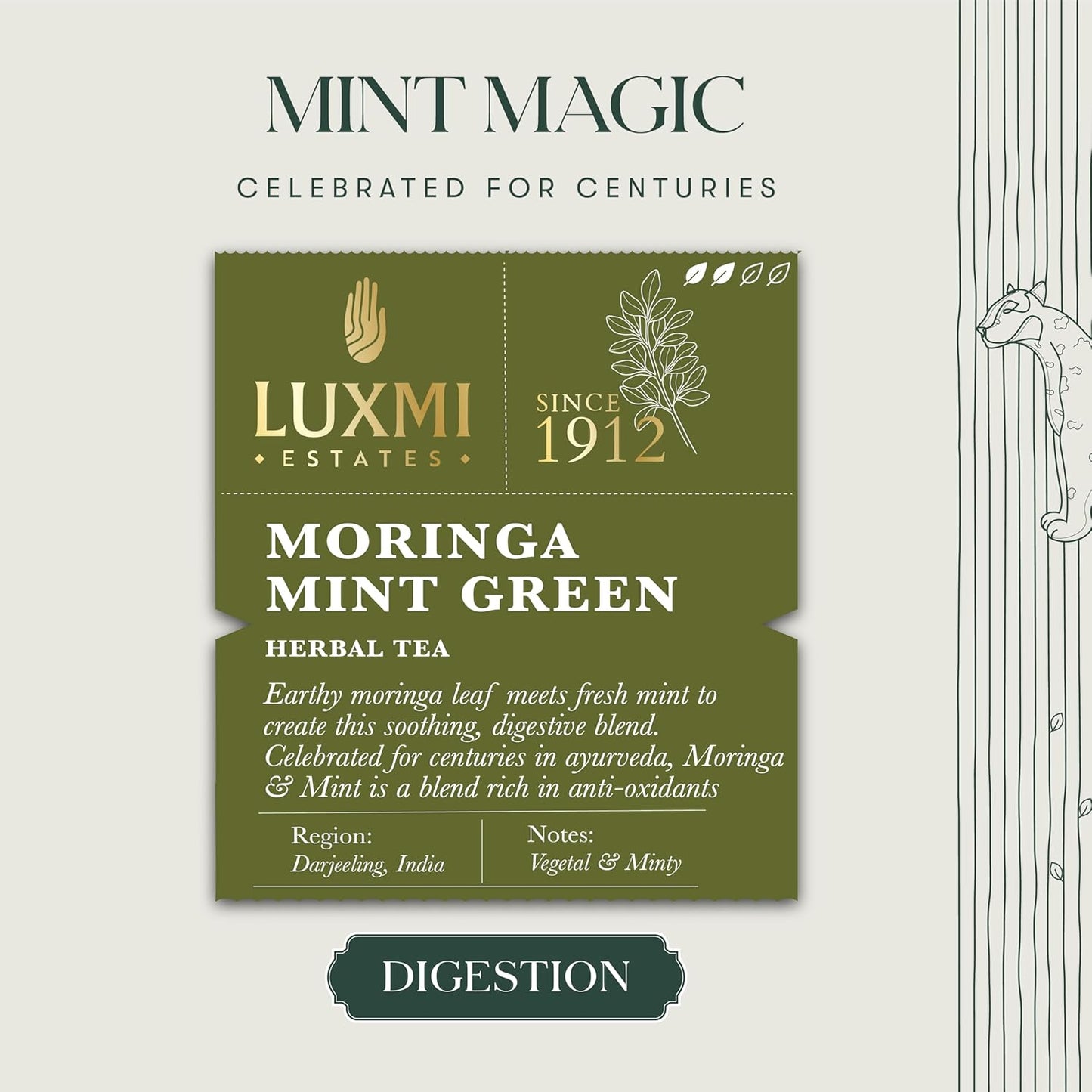 Luxmi Estates - Moringa Mint Tea Loose Leaf - 50g (25 cups) | Organic Moringa and Mint | Great for Digestion and Detox