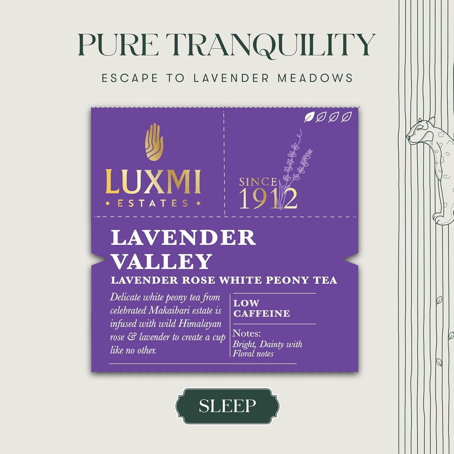 Luxmi Estates Lavender Valley Organic Loose Leaf Tea, (25g) Darjeeling Makaibari White Tea, Low Caffeine, Sleep Function Tea