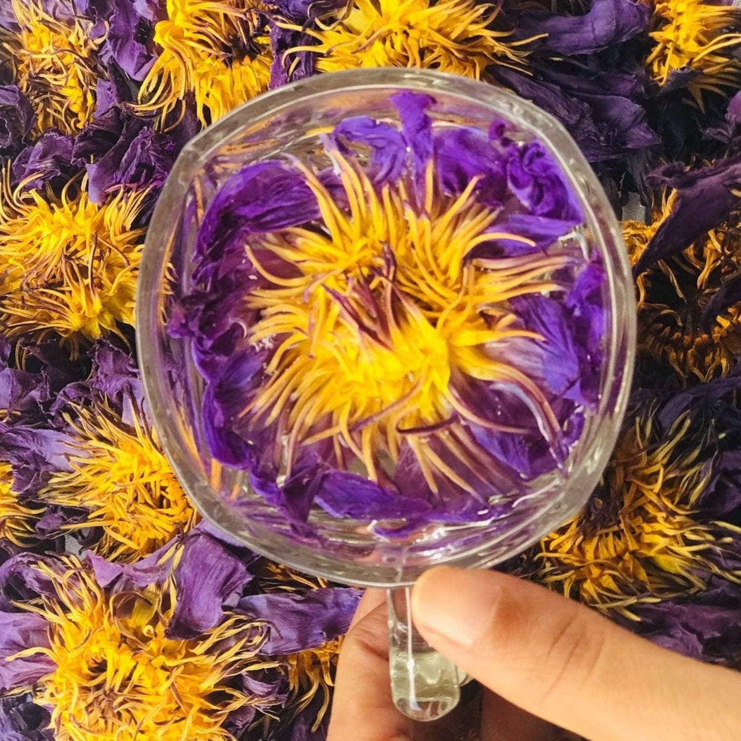 Premium Whole Dried Flower Tea - Natural Loose Leaf Tea Non GMO Caffeine Free Sleepytime Herbal Tea – Excellent Source of Antioxidants - 30 grams